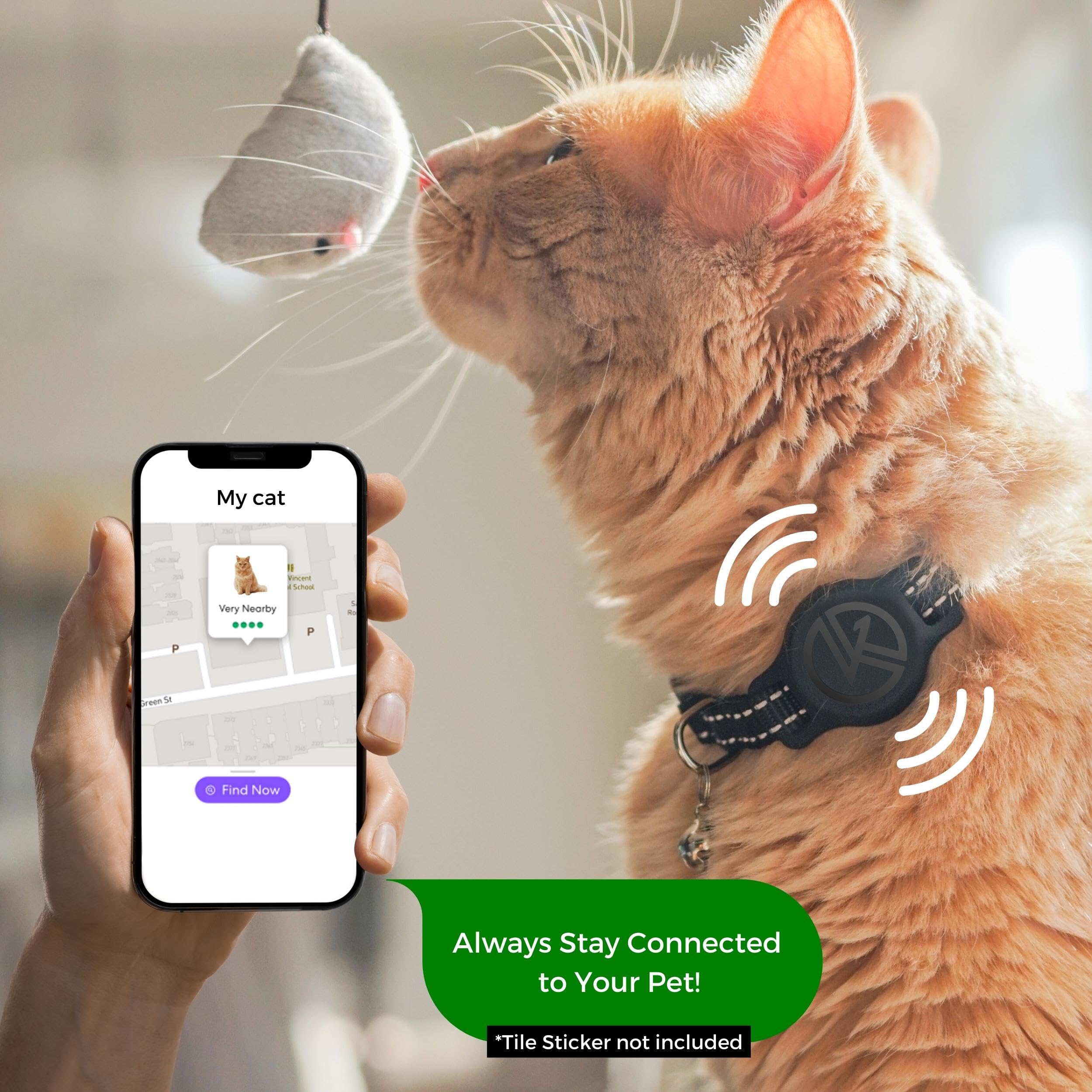 طوق تتبع للقطط من كيتي كومباس (ازرق)