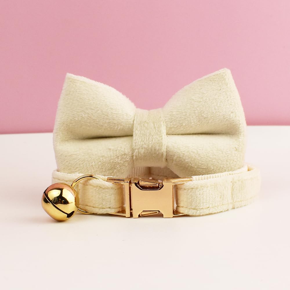 طوق للقطط مع مشبك ذهبي أنيق وحامل ايرتاج قابل للإزالة، وجرس قابل للتعديل والفصل، مع ربطة عنق قابلة للإزالة، مناسب للقطط والكلاب الصغيرة (ريش أبيض)