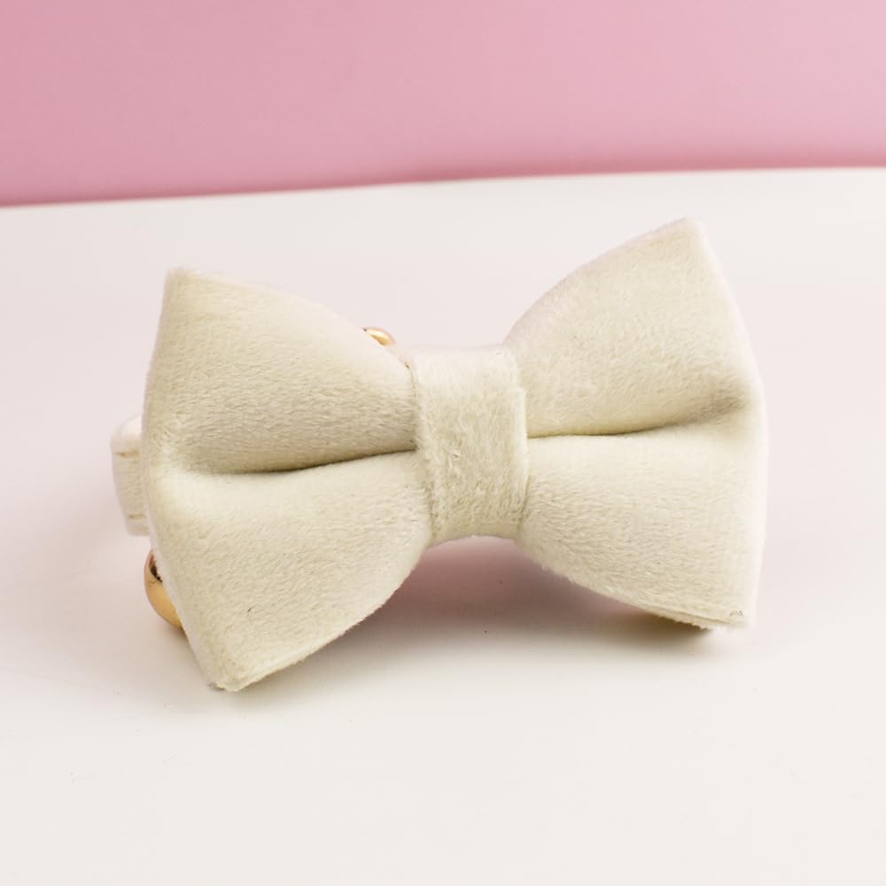 طوق للقطط مع مشبك ذهبي أنيق وحامل ايرتاج قابل للإزالة، وجرس قابل للتعديل والفصل، مع ربطة عنق قابلة للإزالة، مناسب للقطط والكلاب الصغيرة (ريش أبيض)