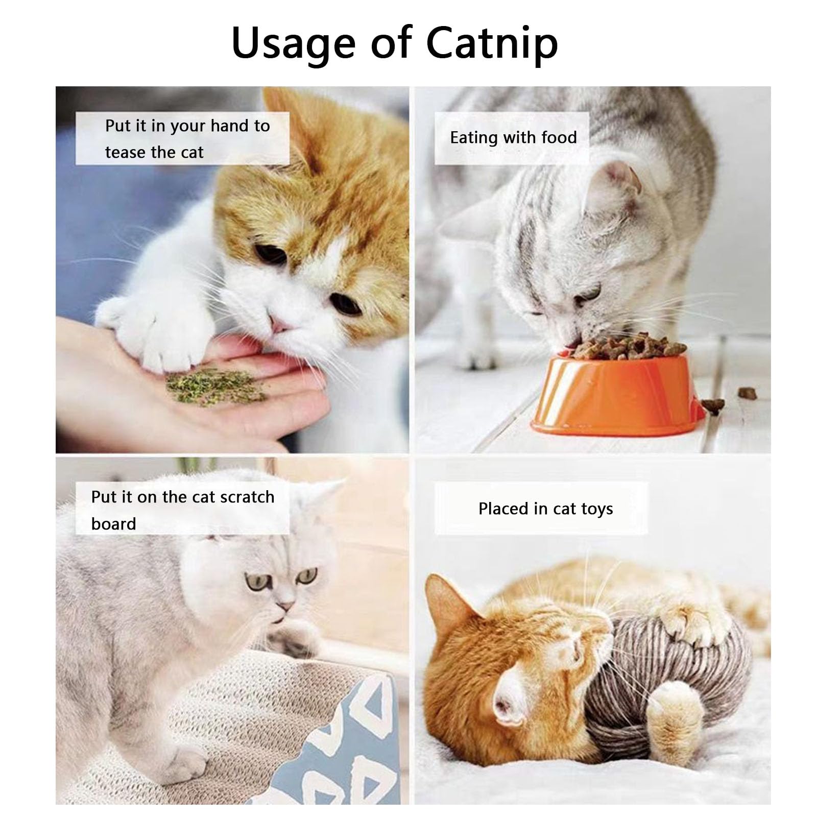 عبوة النعناع البري المجفف، تستخدم كوجبة خفيفة أو لحشو ألعاب القطط، مجففة ومحكمة الغلق ومعبأة لسهولة الحفظ، زجاجتان (100 جرام)