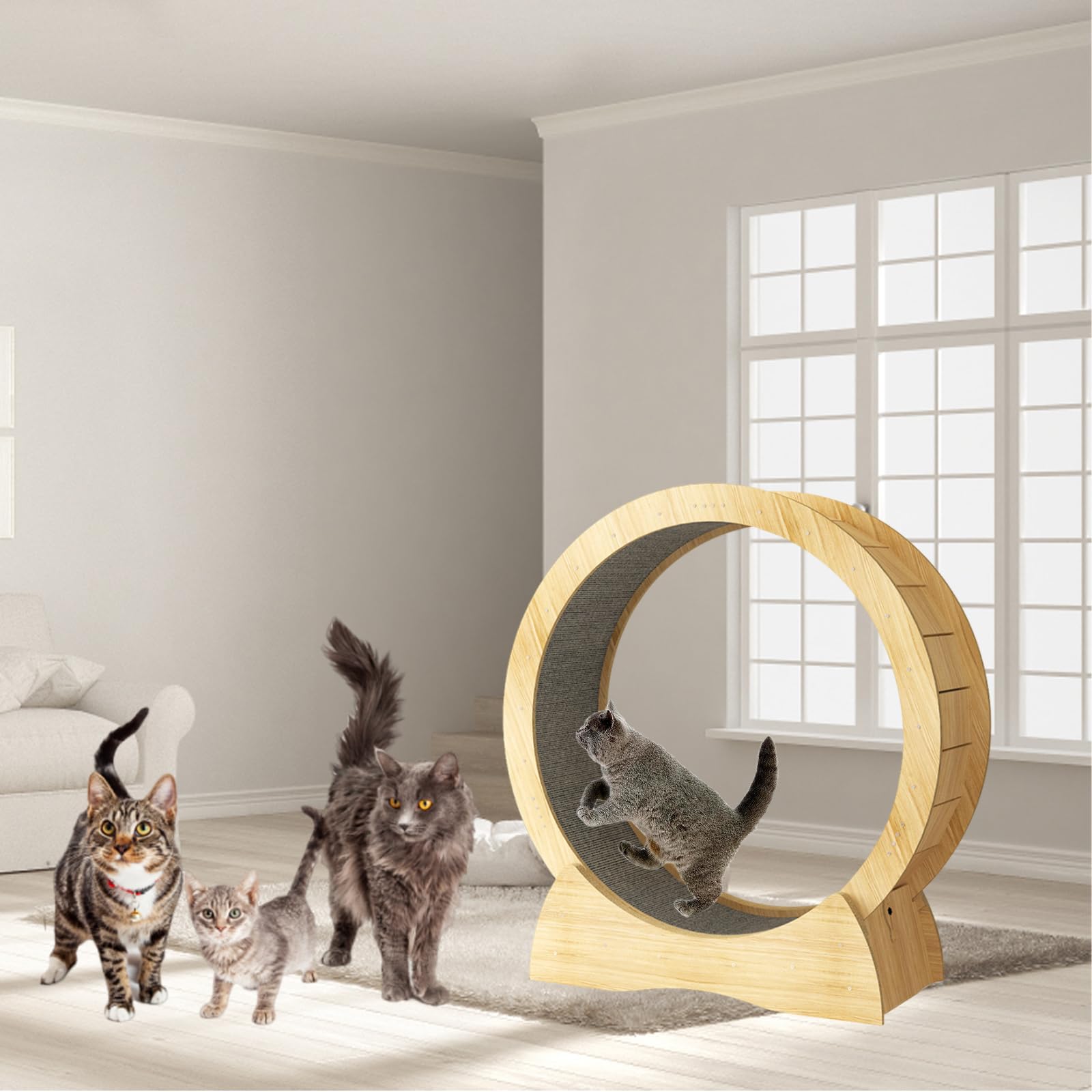 عجلة جري للقطط، عجلة تمرين للقطط، عجلة جري للقطط، لوح خدش للقطط، جهاز مشي للياقة البدنية، لعبة عجلة دوارة لتعزيز حركة القطط (خشب)