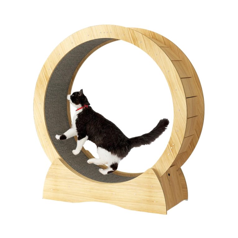 عجلة جري للقطط، عجلة تمرين للقطط، عجلة جري للقطط، لوح خدش للقطط، جهاز مشي للياقة البدنية، لعبة عجلة دوارة لتعزيز حركة القطط (خشب)