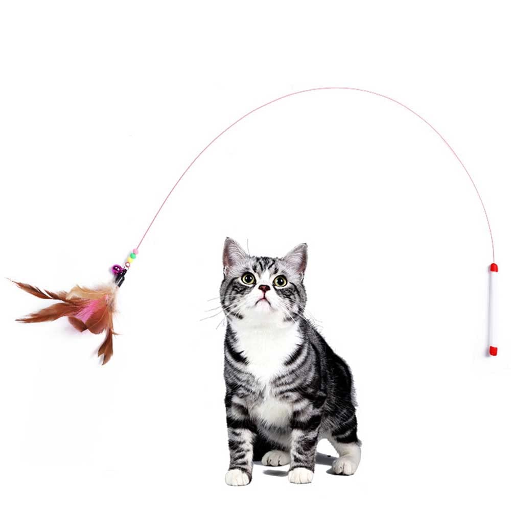 عصا ريشة بسلك تحفيزية تفاعلية لالعاب القطط بخرز وجرس ممتعة للعب مع القطط وتدريبها (نمط بي)