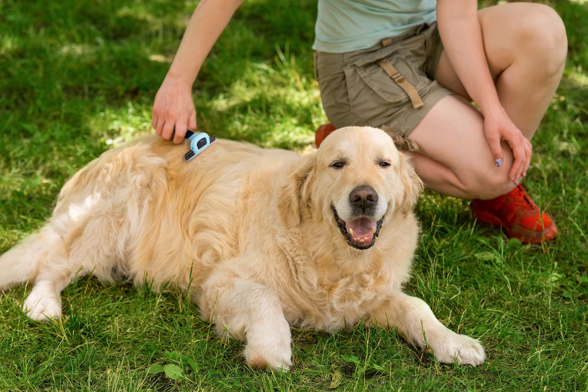 فرشاة الحيوانات الأليفة الاحترافية من بيتس فيرست - أداة العناية وإزالة تساقط الشعر للقطط والكلاب - تقلل الميت والتشابك - مشط الفولاذ المقاوم للصدأ قابل للفصل لسهولة التنظيف - مقبض نا
