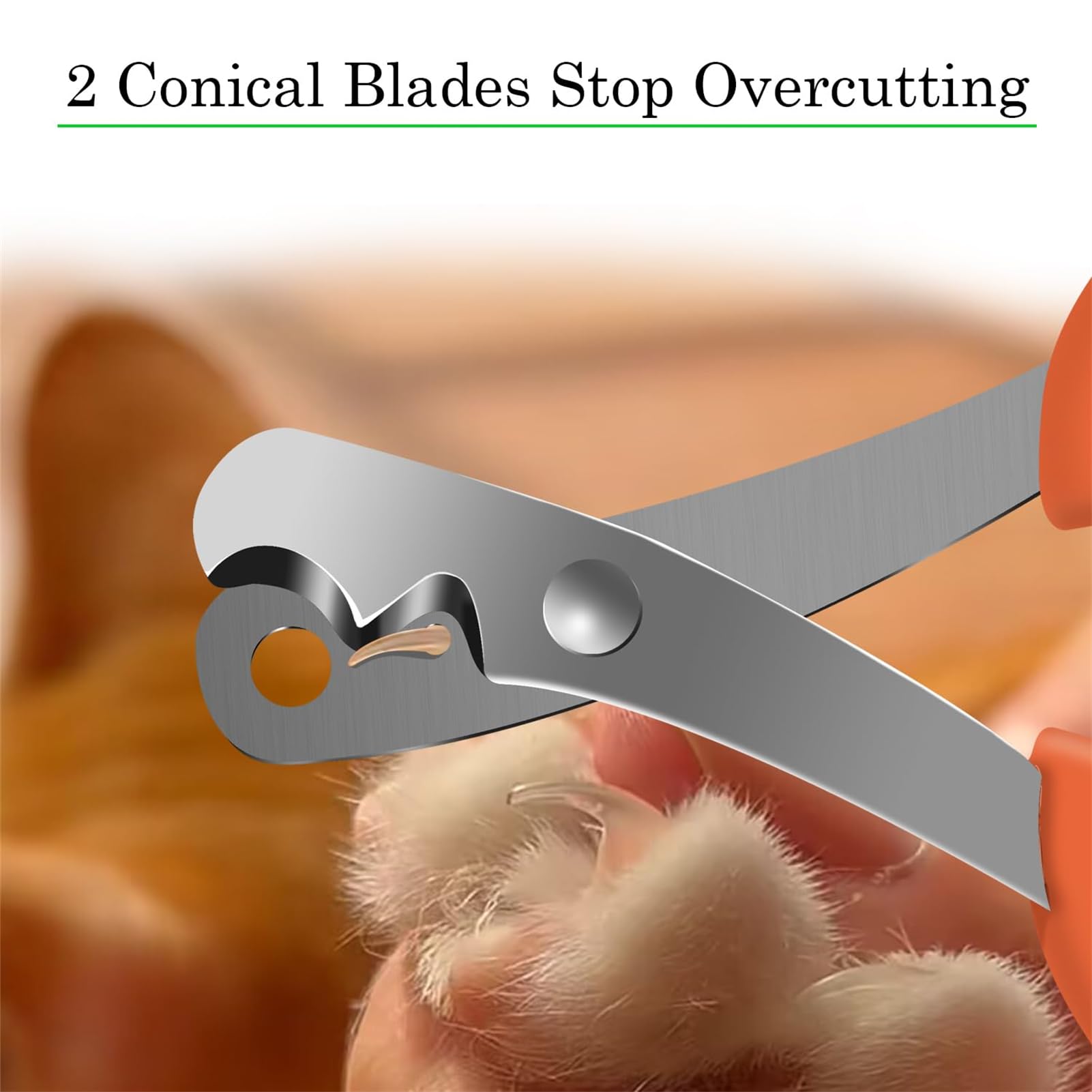 قصافة اظافر احترافية للقطط - اداة تشذيب امنة بفتحتين للقطط والكلاب والطيور والجراء والقطط الصغيرة والقنافذ والقوارض والارانب، من اكسيفور