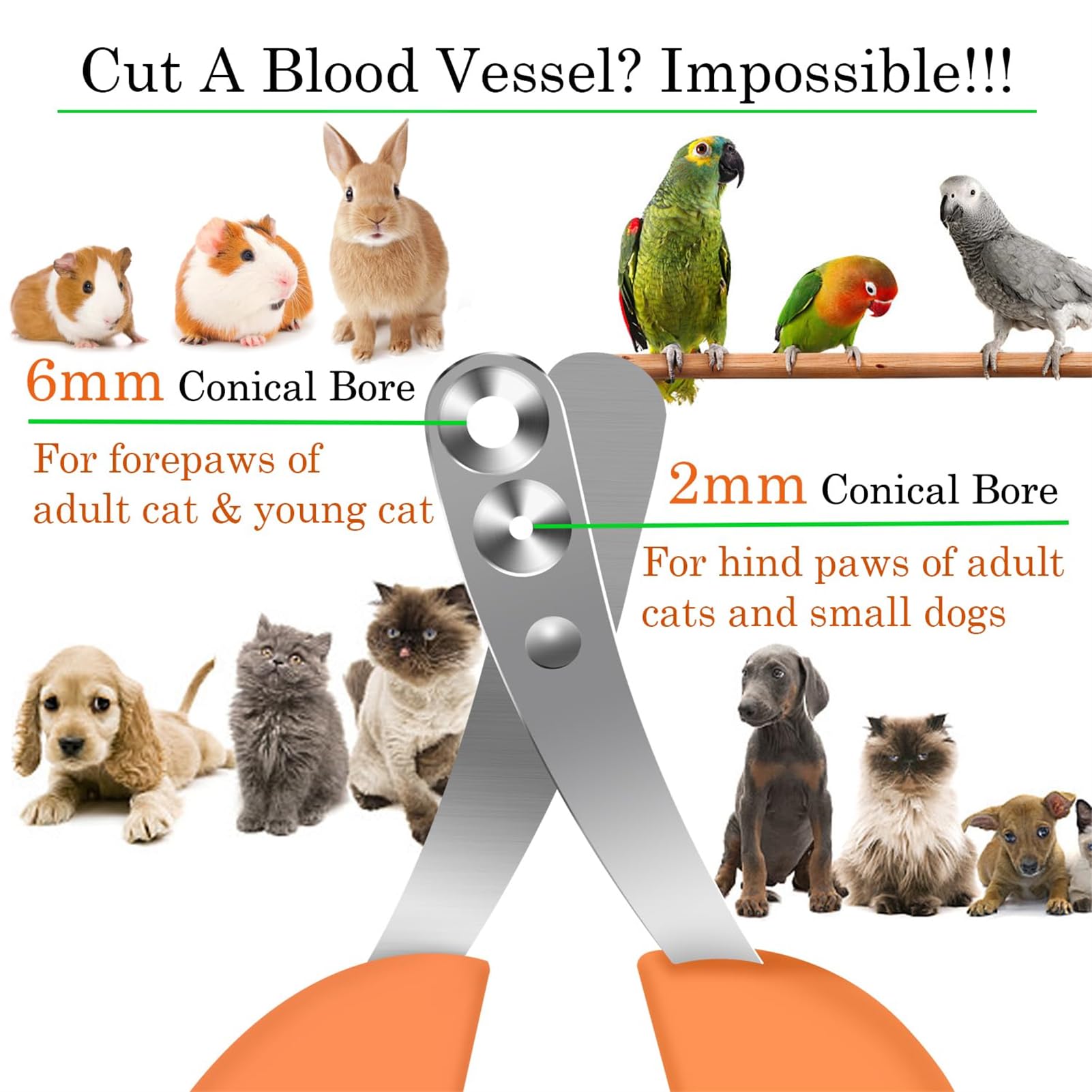 قصافة اظافر احترافية للقطط - اداة تشذيب امنة بفتحتين للقطط والكلاب والطيور والجراء والقطط الصغيرة والقنافذ والقوارض والارانب، من اكسيفور