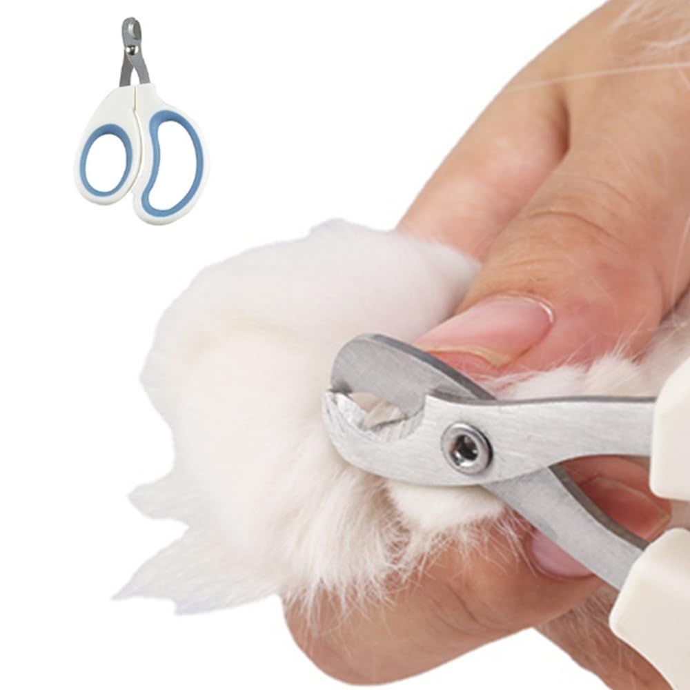 قصافة اظافر الحيوانات الاليفة من كويكانفلا، قصافة اظافر للقطط من الستانلس ستيل، اداة تشذيب احترافية للكلاب الصغيرة والارانب والطيور والقطط الصغيرة والارانب
