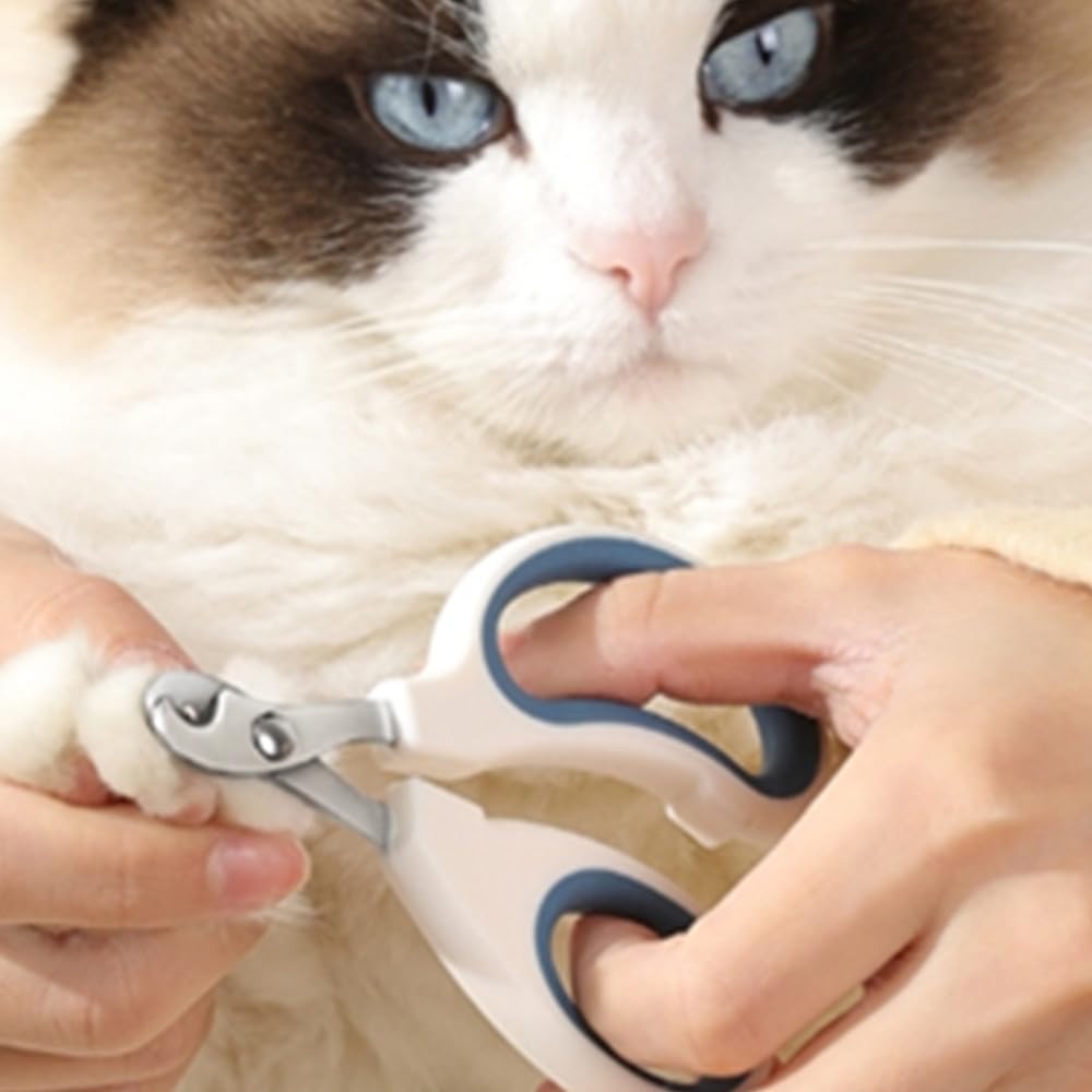 قصافة اظافر الحيوانات الاليفة من كويكانفلا، قصافة اظافر للقطط من الستانلس ستيل، اداة تشذيب احترافية للكلاب الصغيرة والارانب والطيور والقطط الصغيرة والارانب