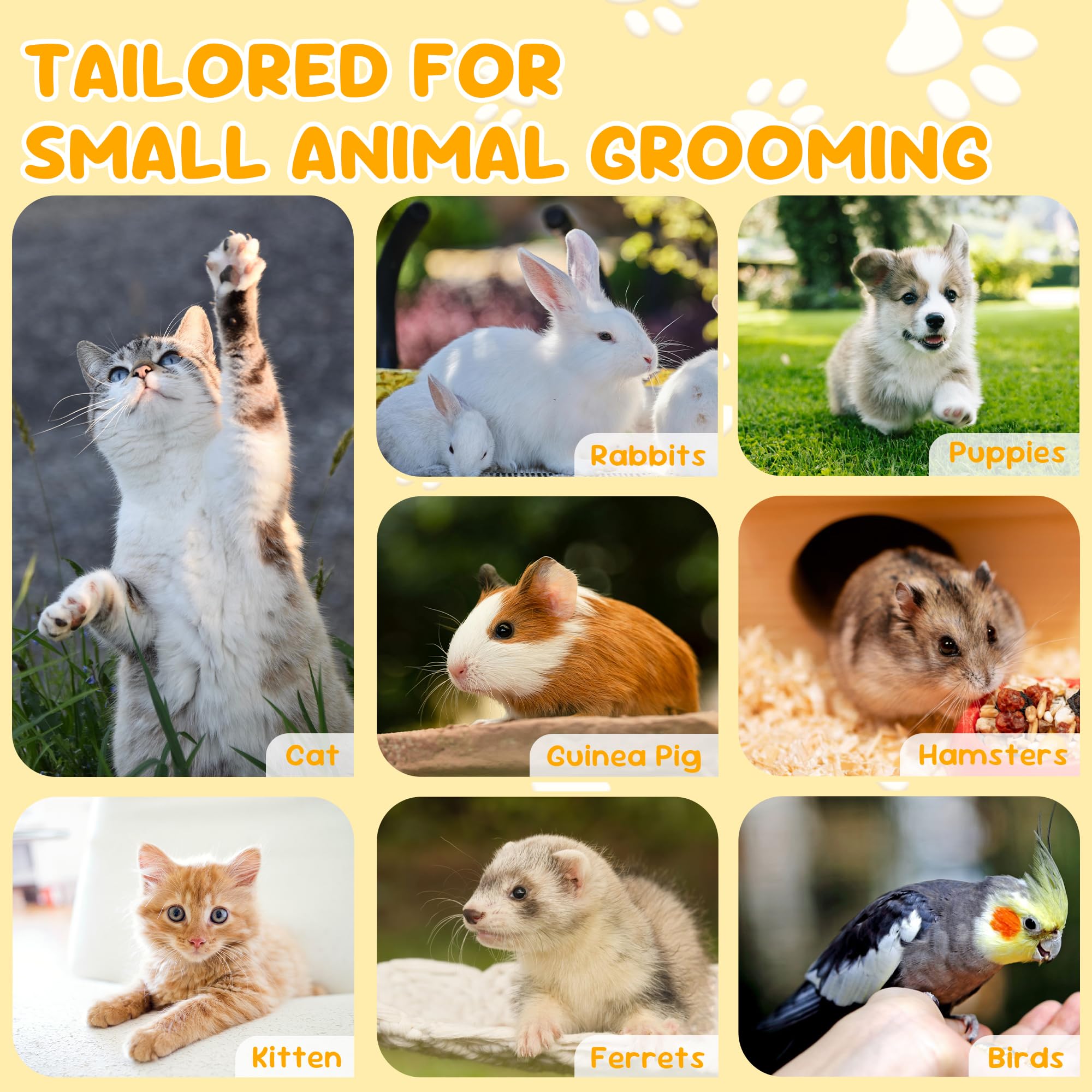 قصافة اظافر القطط مصنوعة من الستانلس ستيل، قص نظيف بدون تمزيق، لمسة نهائية عاكسة، قصافة اظافر الحيوانات الصغيرة للقطط والقطط الصغيرة والارنب والجراء والارانب والقطط وغيرها