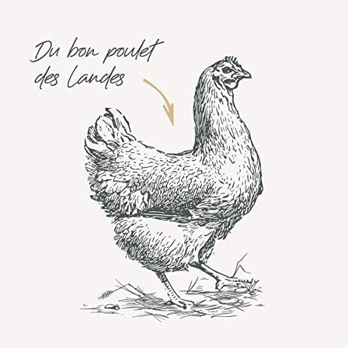 قطط معقمة بالدجاج من بابين سيجنتشر 1.5 كجم