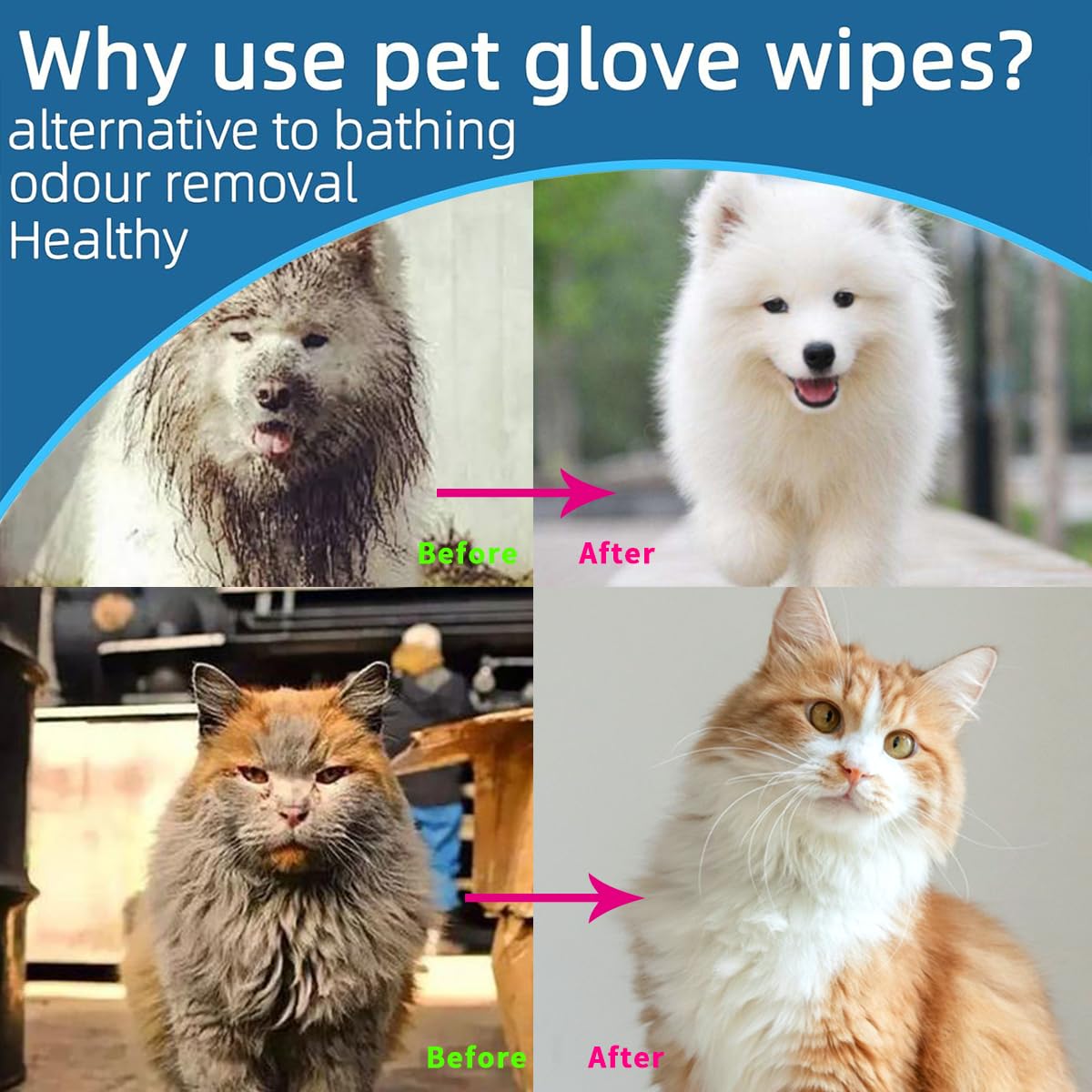 قفازات ومناديل مبللة لتنظيف الحيوانات الأليفة من HSYDIY، مناديل مبللة للقطط والكلاب، للعناية بالحيوانات الأليفة وإزالة الملوثات وتطهيرها وإزالة الروائح الكريهة، عبوة واحدة (10 قطع)، من هسيدي