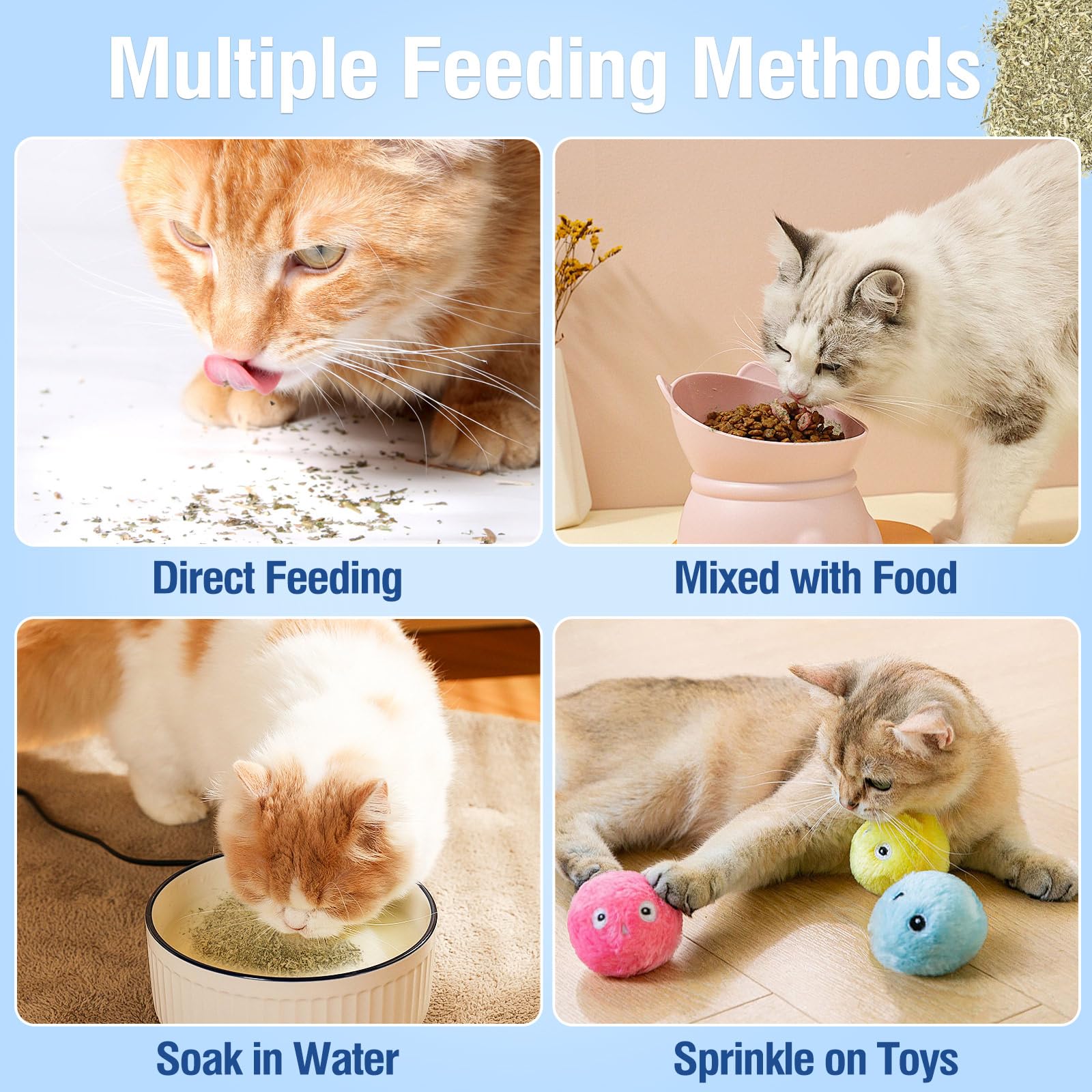 كاتنيب القطط، نيب مجفف وطبيعي 100% للقطط والقطيطات، يستخدم كوجبة خفيفة أو ألعاب الكاتنيب القابلة لإعادة الملء، للعب والتدريب، يمكن التحكم في كمية الكاتنيب