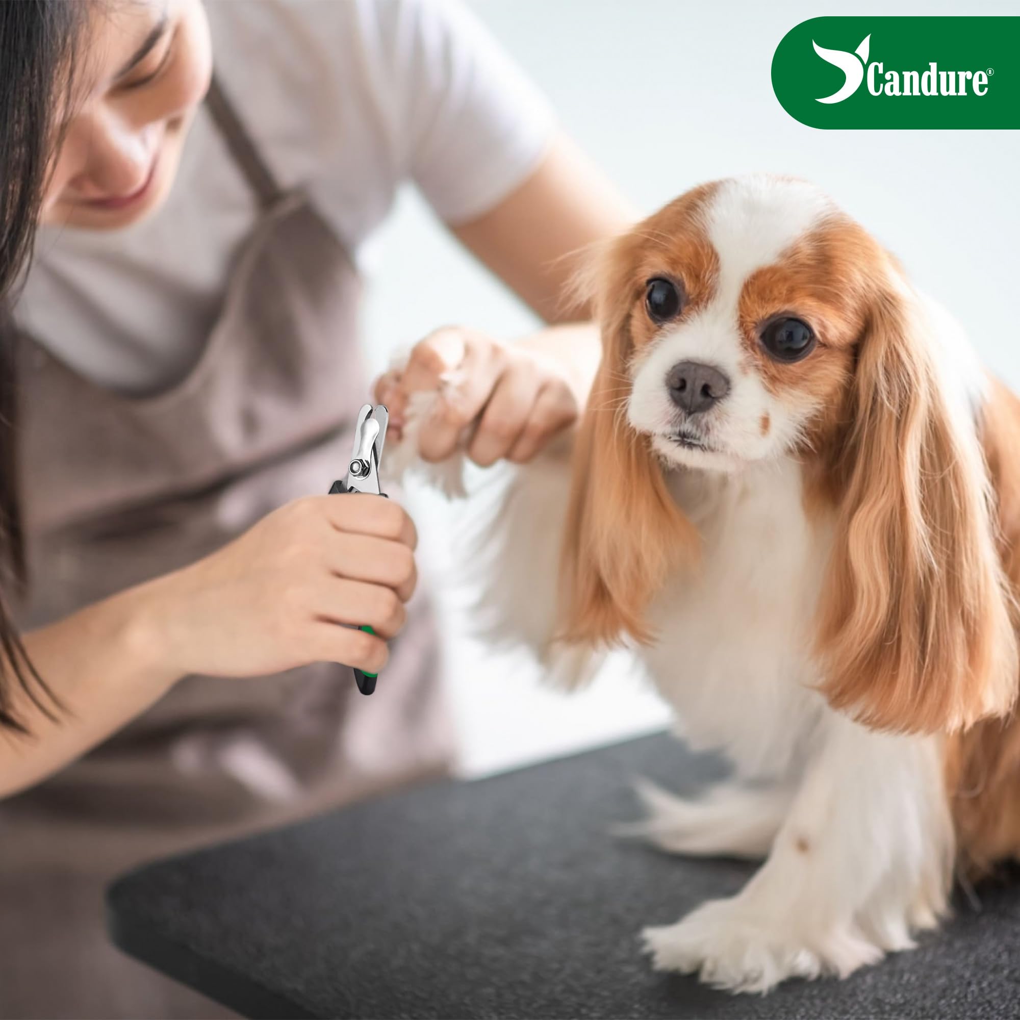 كانديور قصافة اظافر للقطط - سهلة الحمل مع قصافة اظافر دقيقة للقطط - قصافة اظافر من الستانلس ستيل للقطط والكلاب والارانب والحيوانات الصغيرة (ازرق داكن)