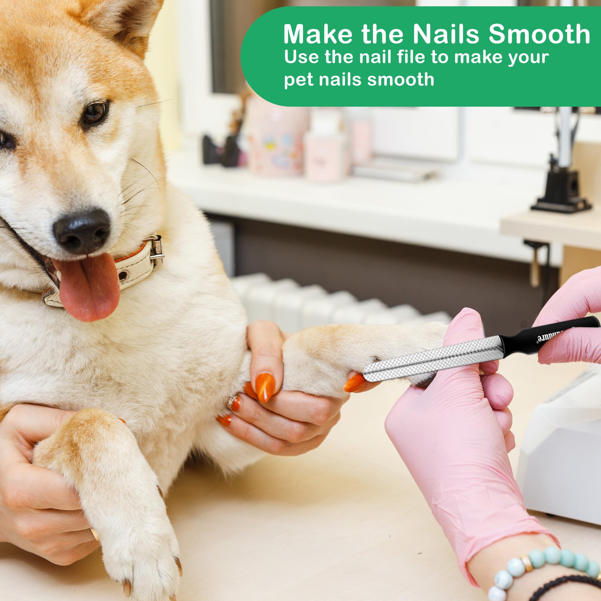 كانديور قصافة اظافر للقطط - سهلة الحمل مع قصافة اظافر دقيقة للقطط - قصافة اظافر من الستانلس ستيل للقطط والكلاب والارانب والحيوانات الصغيرة (ازرق داكن)