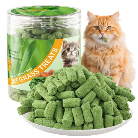 لعبة مضغ عشب القطط المجفف الطبيعي (100 غرام) - للعناية بالاسنان والتحكم في كرة الشعر، لعبة عض امنة للقطط الداخلية، اسنان صحية ومساعدة على الهضم