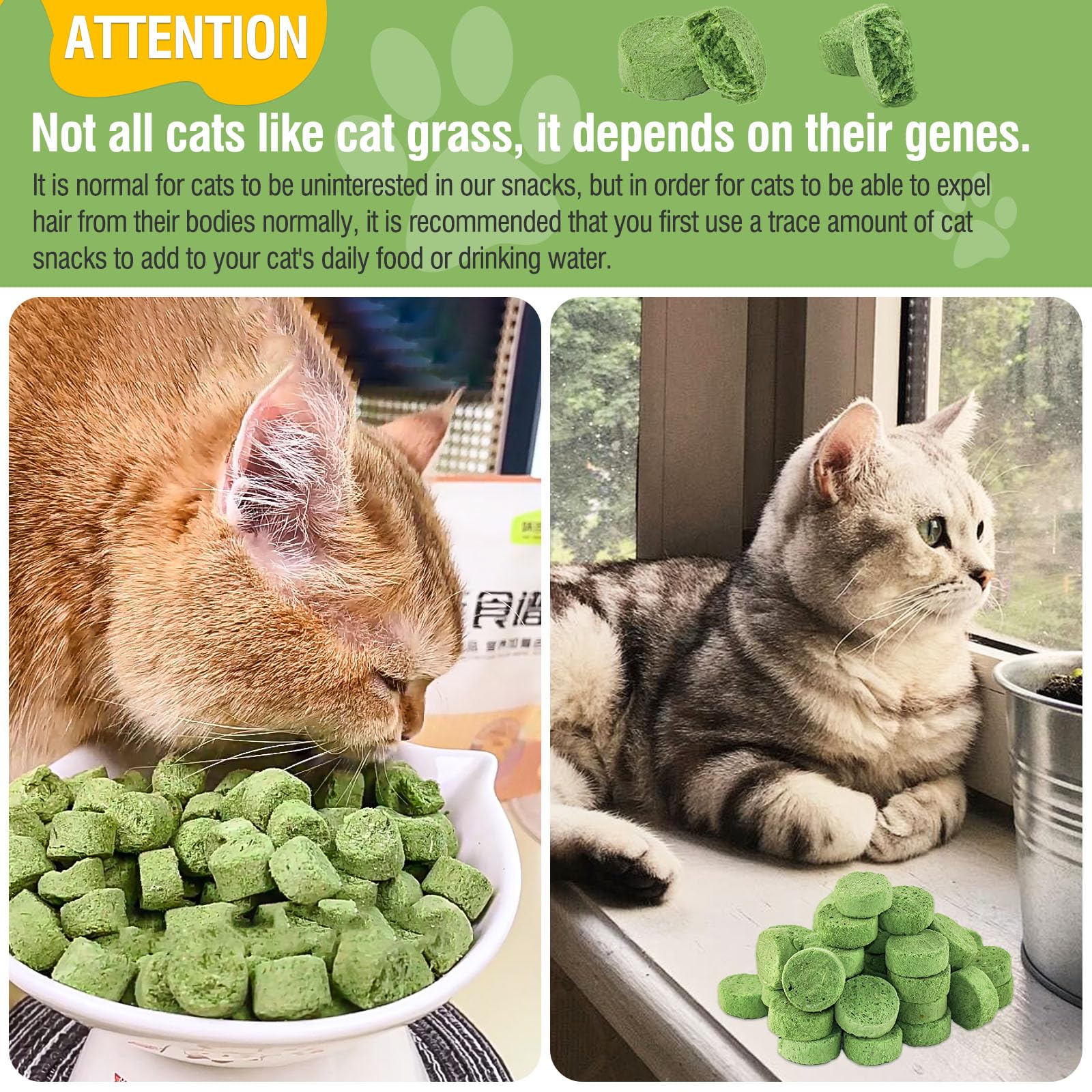 لعبة مضغ عشب القطط المقرمشة - تقلل من كرات الشعر بشكل طبيعي، تدعم هضم القطط، 50 غرام