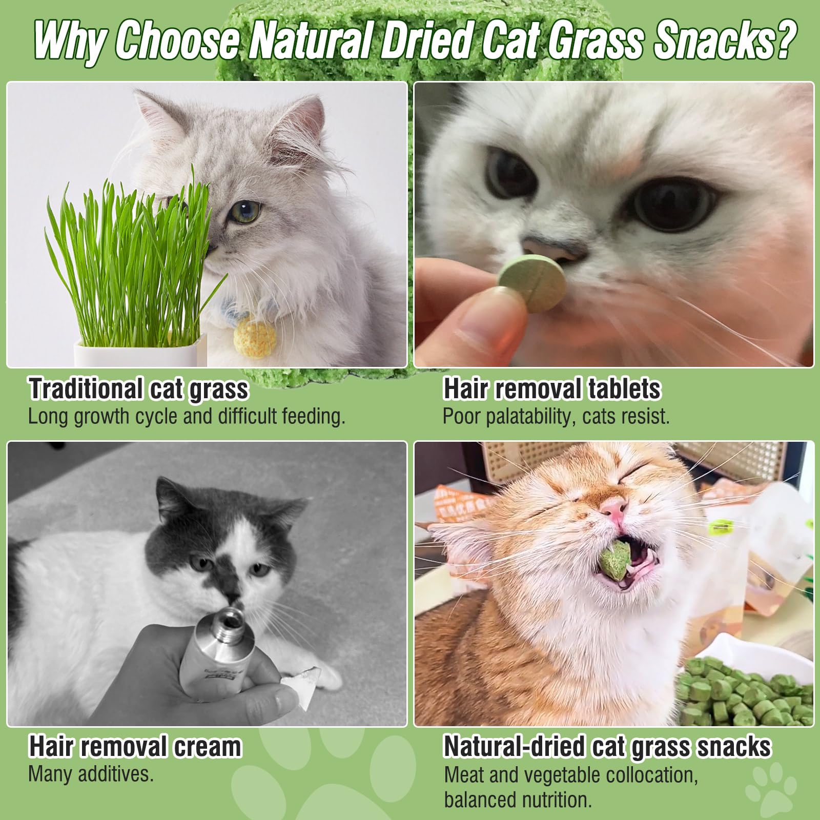 لعبة مضغ عشب القطط المقرمشة - تقلل من كرات الشعر بشكل طبيعي، تدعم هضم القطط، 50 غرام