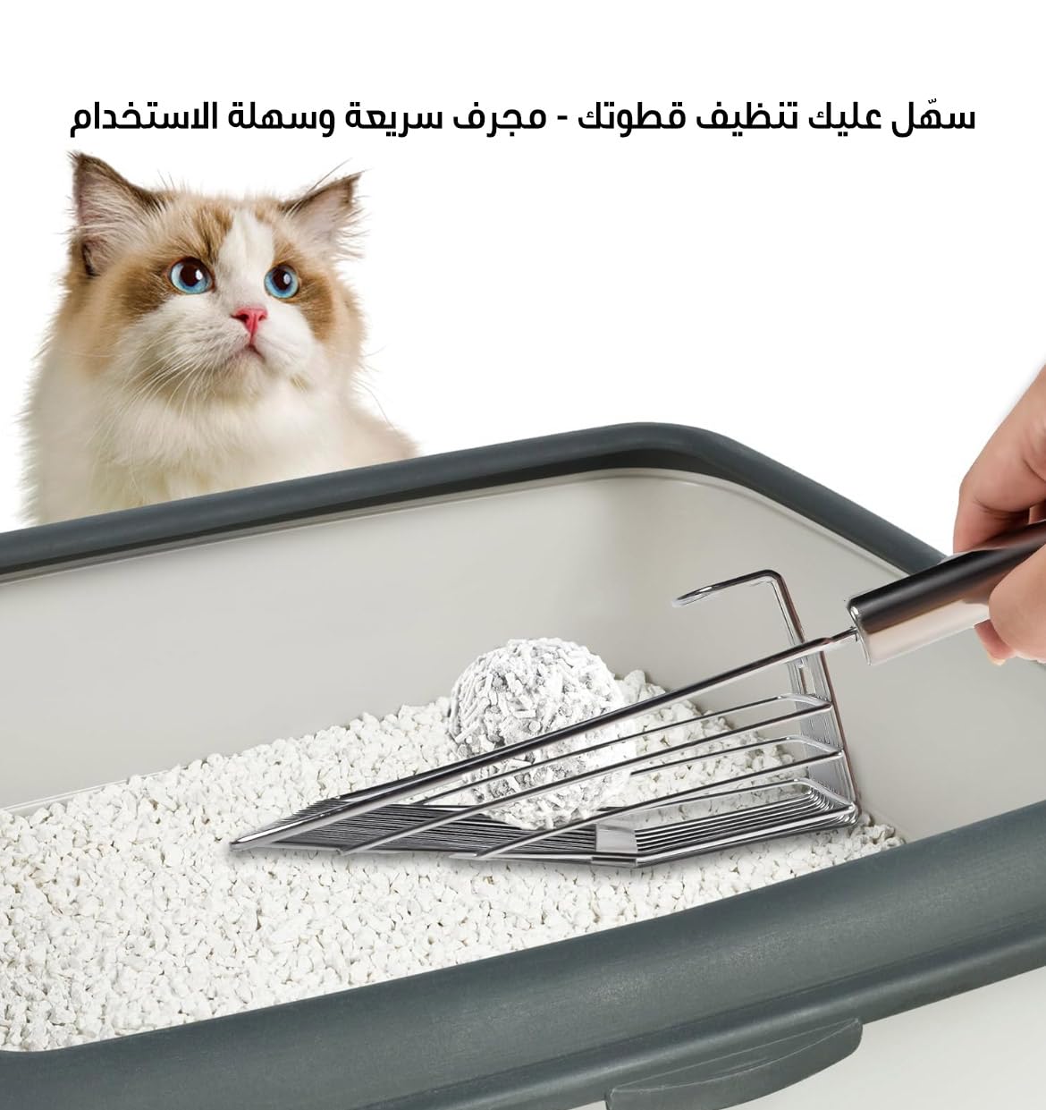 مجرفة فضلات قطط متينة ومقاومة للصدأ من المعدن، ذات فتحات دقيقة ومقبض مريح لرفع فضلات القطط الصغيرة، ومناسبة لجميع أنواع صناديق الفضلات