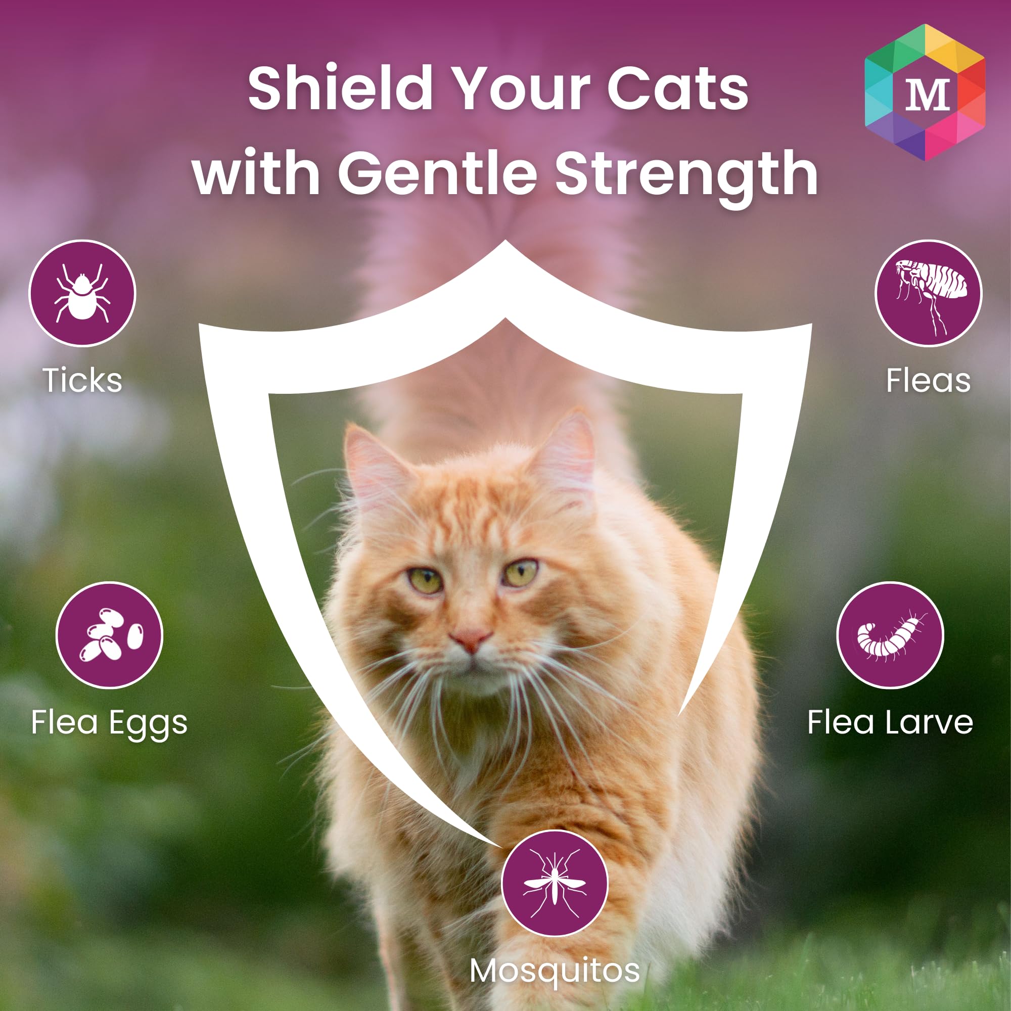 مستحضر باراشيلد بلاس سبوت أون من ميدفلاي هيلثكير للقطط والبراغيث