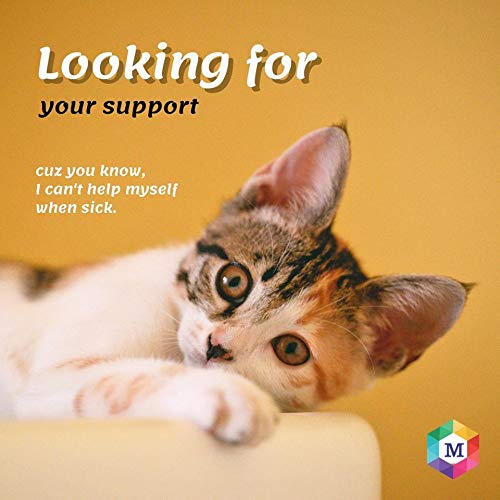 مستحضر باراشيلد بلاس سبوت أون من ميدفلاي هيلثكير للقطط والبراغيث