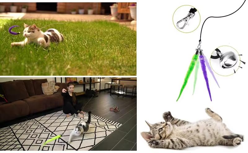 مستلزمات تدريب الكلاب والجراء والحيوانات الأليفة بتصميم عصا قابلة للسحب ولعبة ريشة للقطط للألعاب التفاعلية