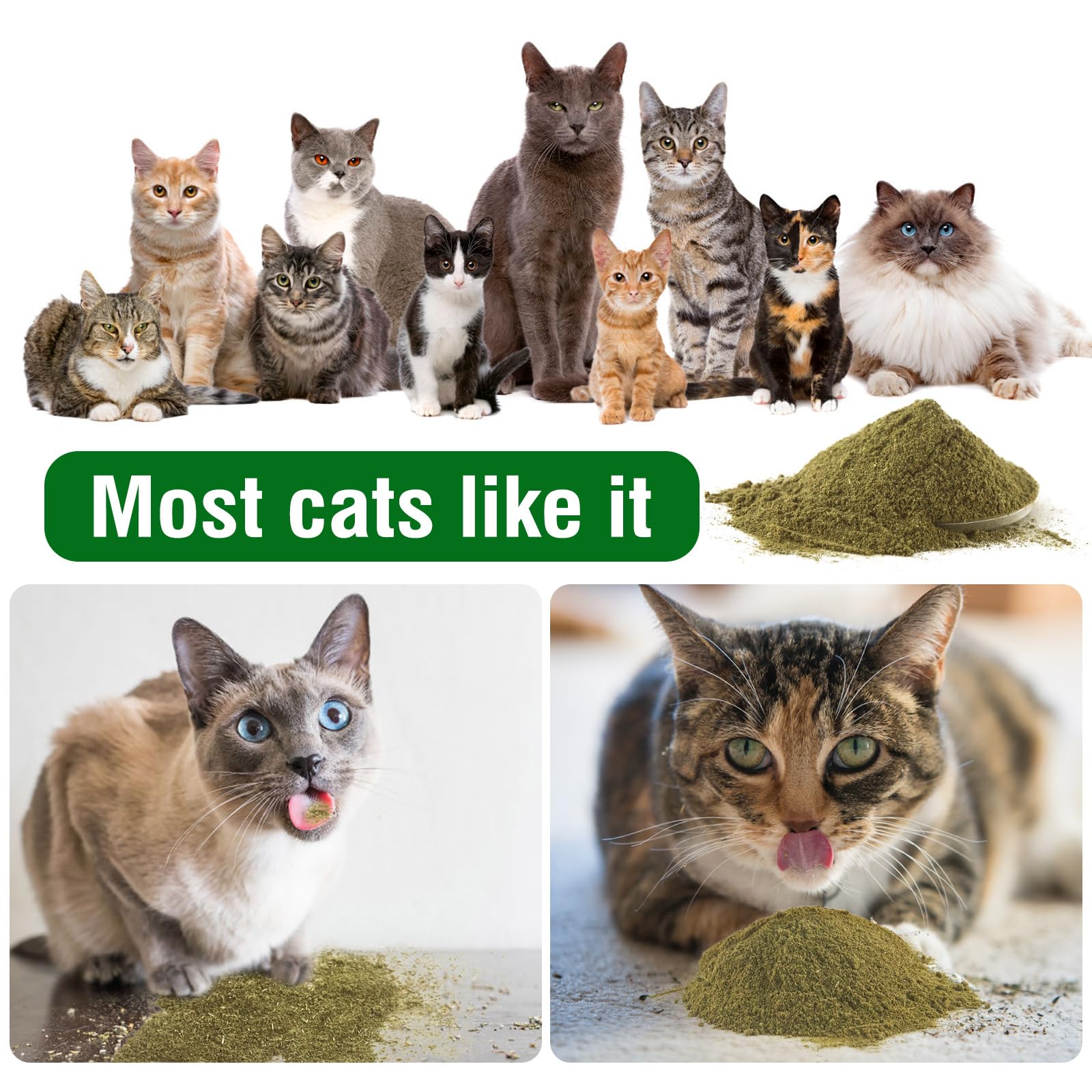 مسحوق نعناع بري مجفف طبيعيًا بدون سيقان لتكملة ألعاب النعناع البري وتنظيف أسنان القطط من باوتشي، 65 جم