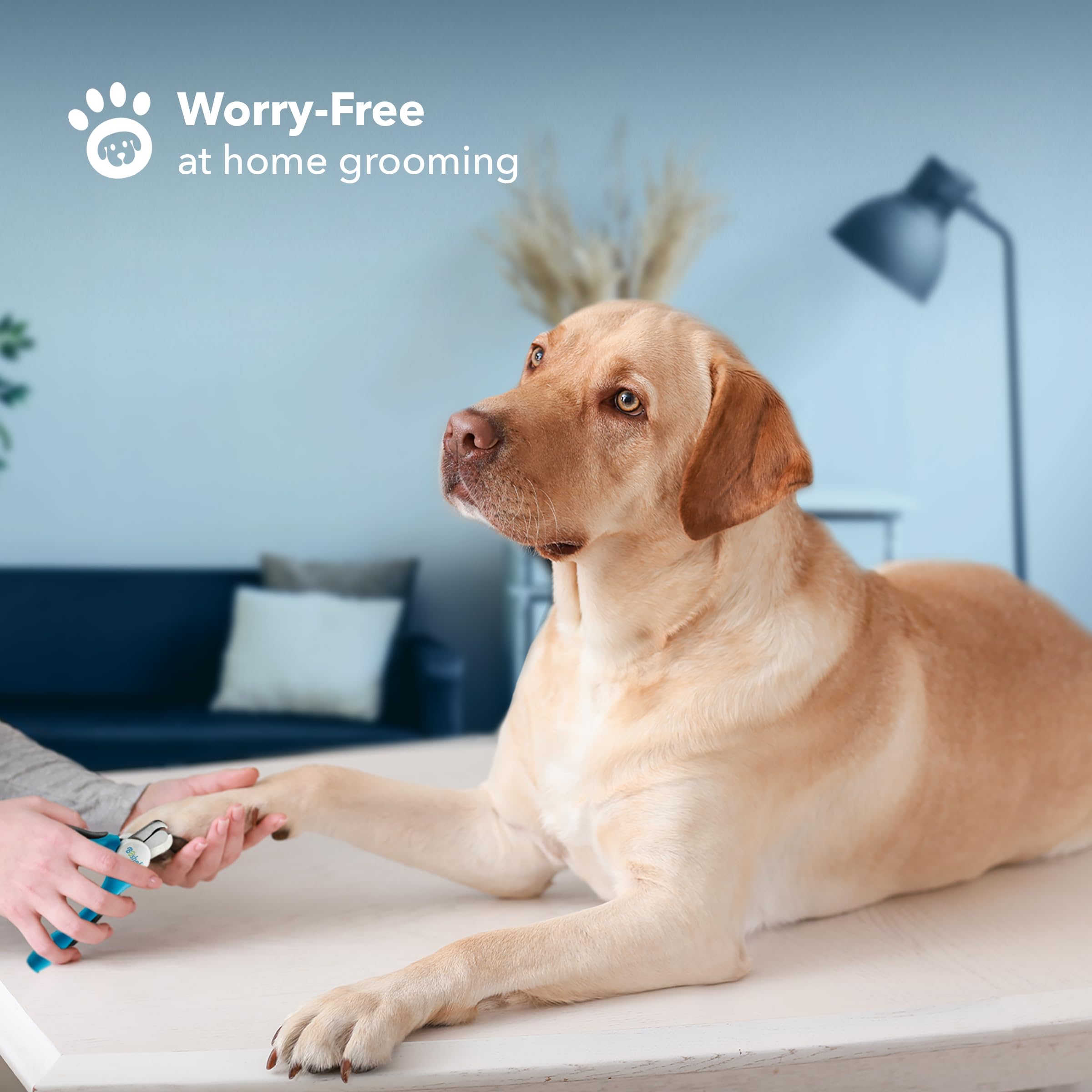 مقص تشذيب أظافر الكلاب مع واقي أمان لتجنب القص الجائر بتصميم شفرات حادة ومقابض متينة غير قابلة للانزلاق للأمان لتجربة التقليم الاحترافي في المنزل مع مبرد مجاني للأظافر من بوشيل