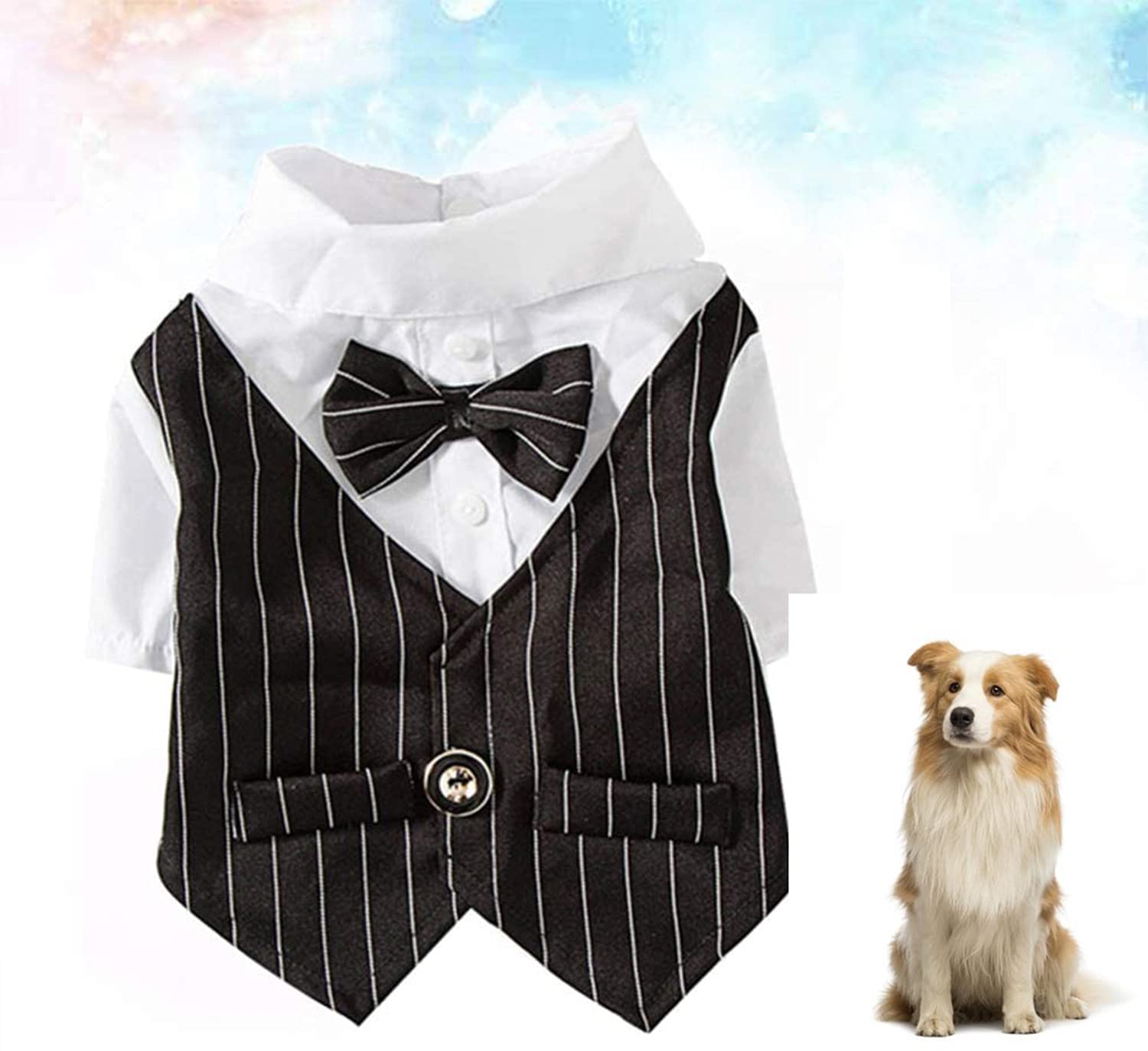 ملابس للحيوانات الاليفة من اليكشن، ملابس للكلاب، زي ربطة عنق، بدلة توكسيدو رسمية للجراء تيدي والقطط والحيوانات الاليفة، زي حفلات الزفاف الداخلية (اسود، مقاس M)، بوليستر