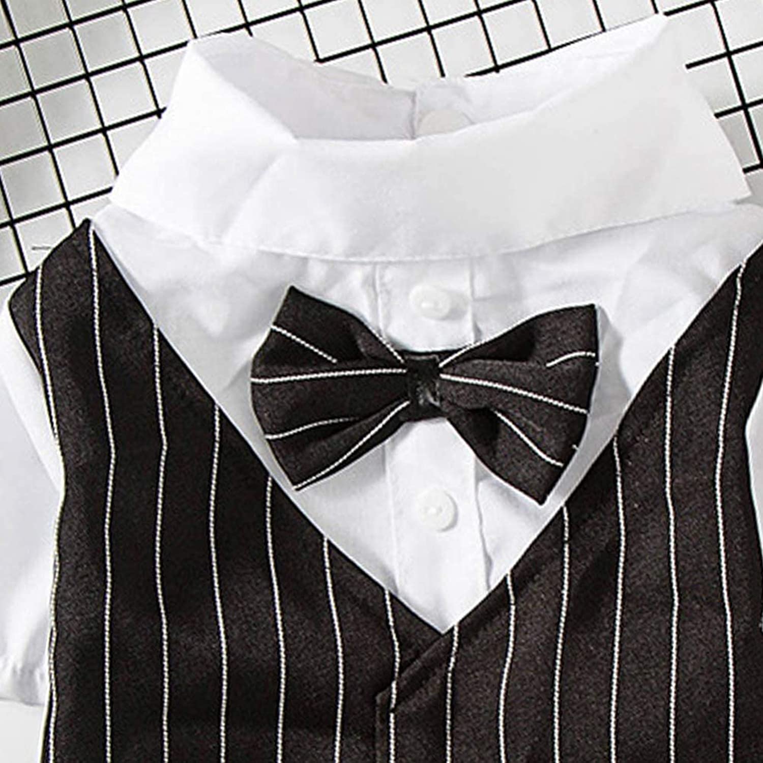 ملابس للحيوانات الاليفة من اليكشن، ملابس للكلاب، زي ربطة عنق، بدلة توكسيدو رسمية للجراء تيدي والقطط والحيوانات الاليفة، زي حفلات الزفاف الداخلية (اسود، مقاس M)، بوليستر