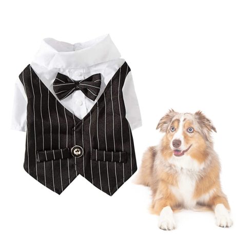 ملابس للحيوانات الاليفة من اليكشن، ملابس للكلاب، زي ربطة عنق، بدلة توكسيدو رسمية للجراء تيدي والقطط والحيوانات الاليفة، زي حفلات الزفاف الداخلية (اسود، مقاس M)، بوليستر