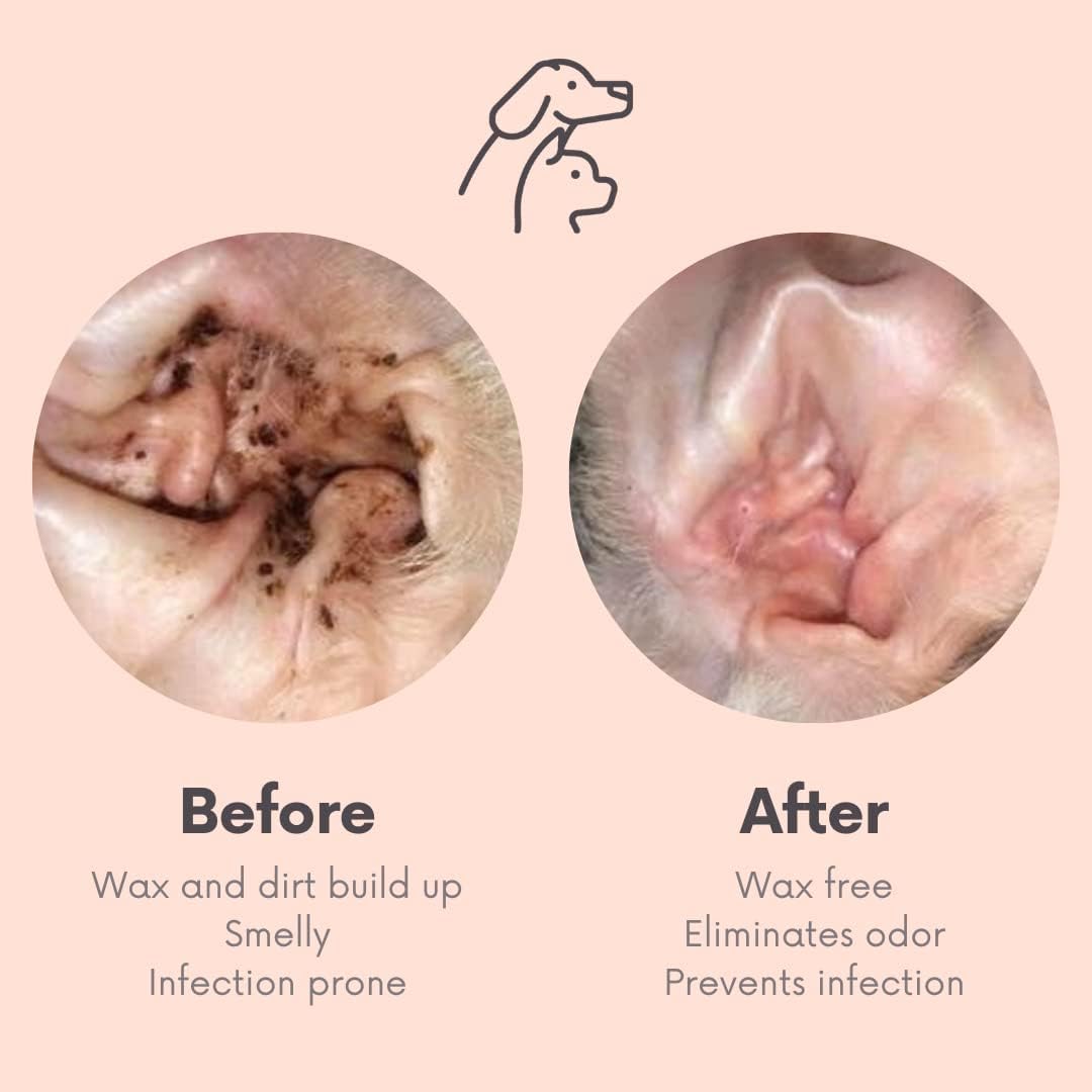 مناديل لتنظيف أذن الحيوانات الأليفة للاستخدام مرة واحدة تعمل على إزالة بقع الدموع وإفرازات العين وتخفيف الحكة وإزالة الروائح الكريهة ومناسبة للجراء والقطط الصغيرة، عبوة من 120 قطعة