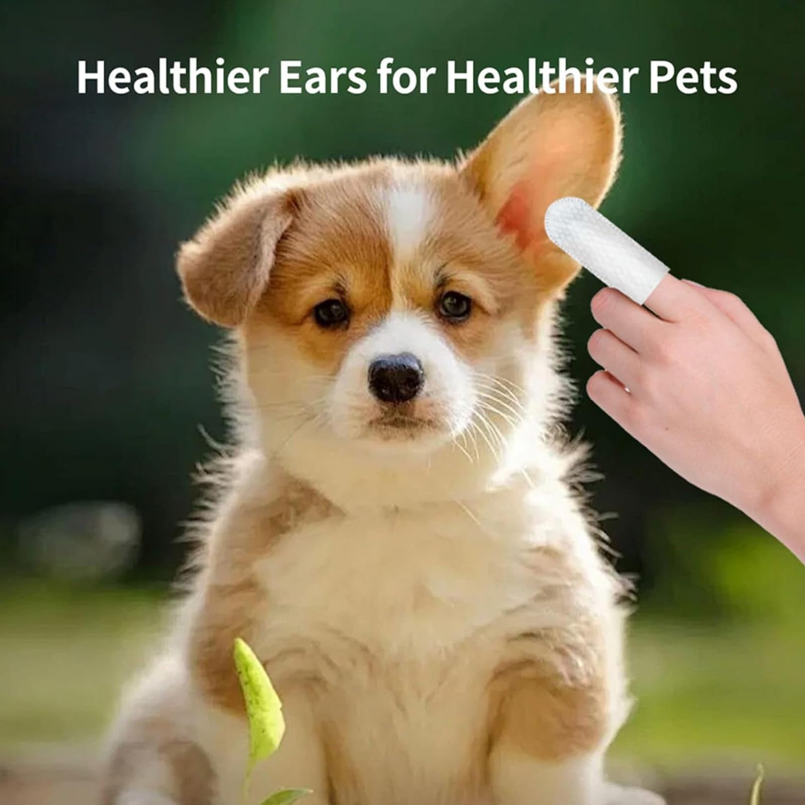 مناديل مبللة لتنظيف اذن الحيوانات الاليفة من 50 قطعة، مجموعة مناديل تنظيف للكلاب والقطط، مناديل اصابع لتنظيف الاذن لشمع الاذن، مناديل مبللة للاستعمال مرة واحدة لتخفيف حكة الاذن والحماية من العدوى