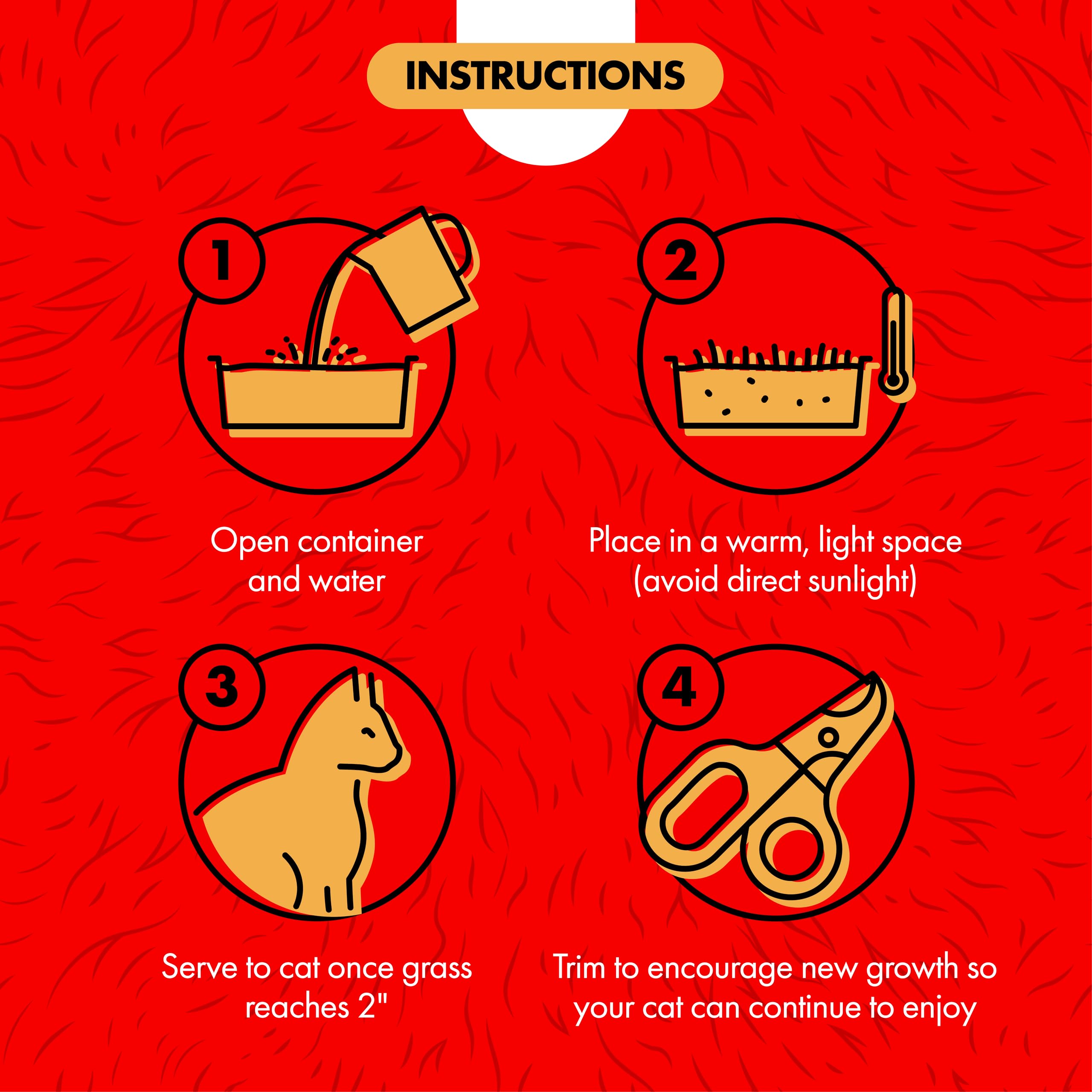 ميريكل كير عشب القطط من كات ابوت للقطط الداخلية 57 اونصة مجموعة زراعة لجميع تتضمن مزيج اصيص وبذور وحاوية