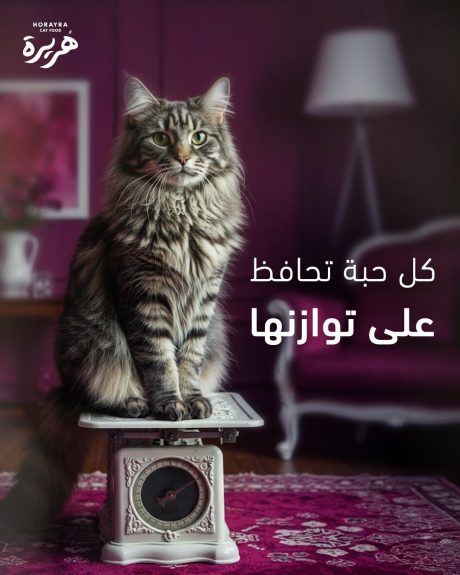 هريرة طعام قطط جاف للقطط الأم المرضعة بنكهة الدجاج والخضار 1.5 kg