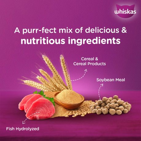 ويسكاس أكل قطط جاف بالتونة، كيس 1.2 كغ، للقطط البالغة 1+ سنة، طعام جاف للقطط، طعم رائع لصحة ونشاط القطط