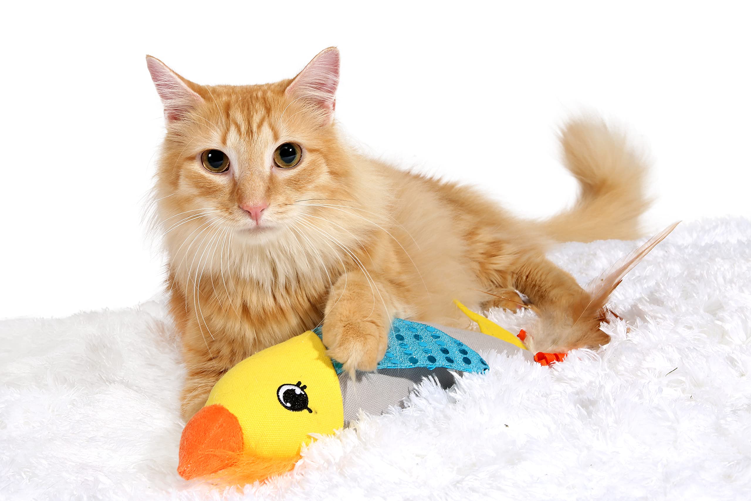 العاب دالية وحشائش فضية لجذب انتباه القطط