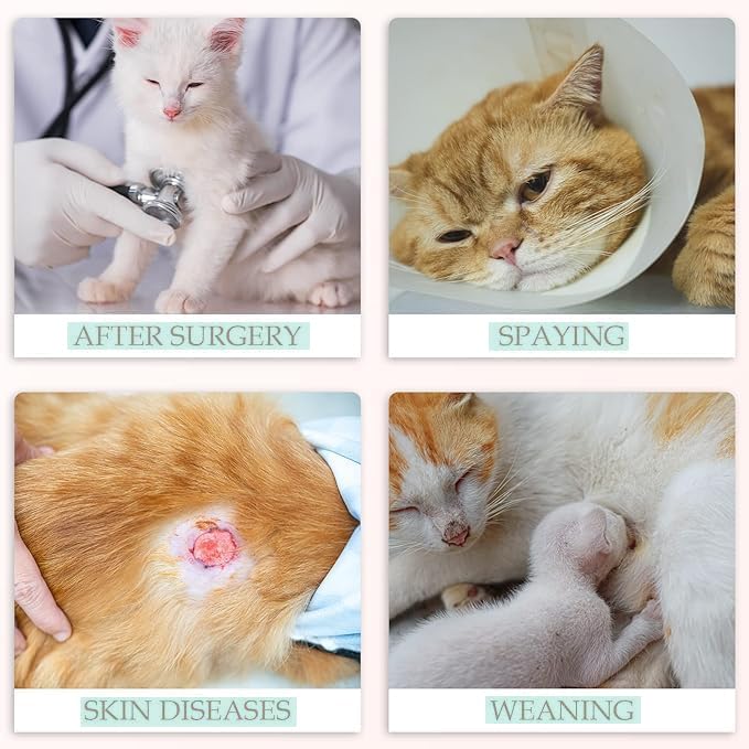 بدلة التعافي من القطط - بدلة جراحية جيدة التهوية للنساء، قطعة واحدة للقطط بعد الجراحة، بدلة التعافي من جروح البطن للنساء - للقطط الصغيرة، مضادة للعق، مضادة للتساقط (مقاس S)