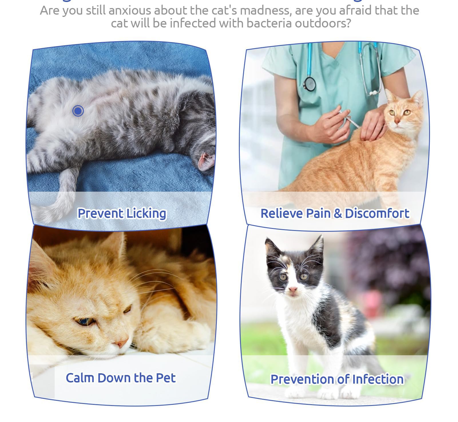 بدلة تعافي القطط التعافي من جراحة كاملة جراحية للقطط قطعة واحدة للحماية جروح البطن مضادة للعق بعد الجراحة للحيوانات الاليفة الصغيرة الذكور والإناث ازرق M ميكنج تيك