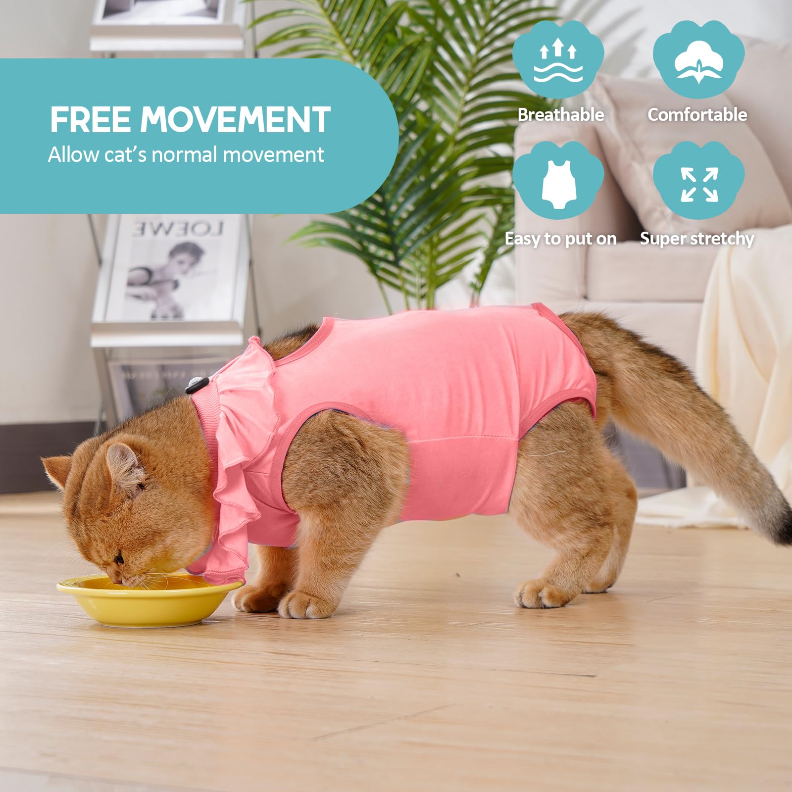 بدلة تعافي للقطط من افونت، قطعة واحدة للقطط بعد الجراحة، بدلة شفاء لإناث القطط بديلة لبدلة الجراحة، زي القطط للحماية بعد الجراحة أو الأمراض الجلدية، أزرق، S