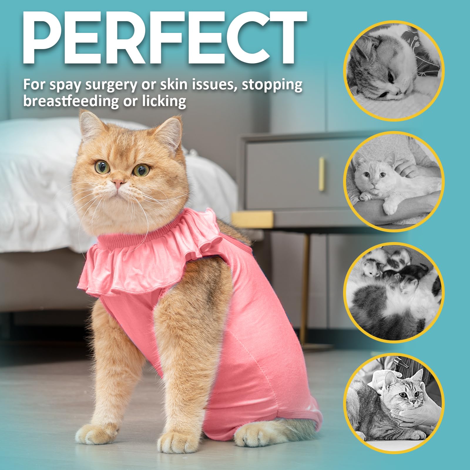 بدلة تعافي للقطط من افونت، قطعة واحدة للقطط بعد الجراحة، بدلة شفاء لإناث القطط بديلة لبدلة الجراحة، زي القطط للحماية بعد الجراحة أو الأمراض الجلدية، أزرق، S