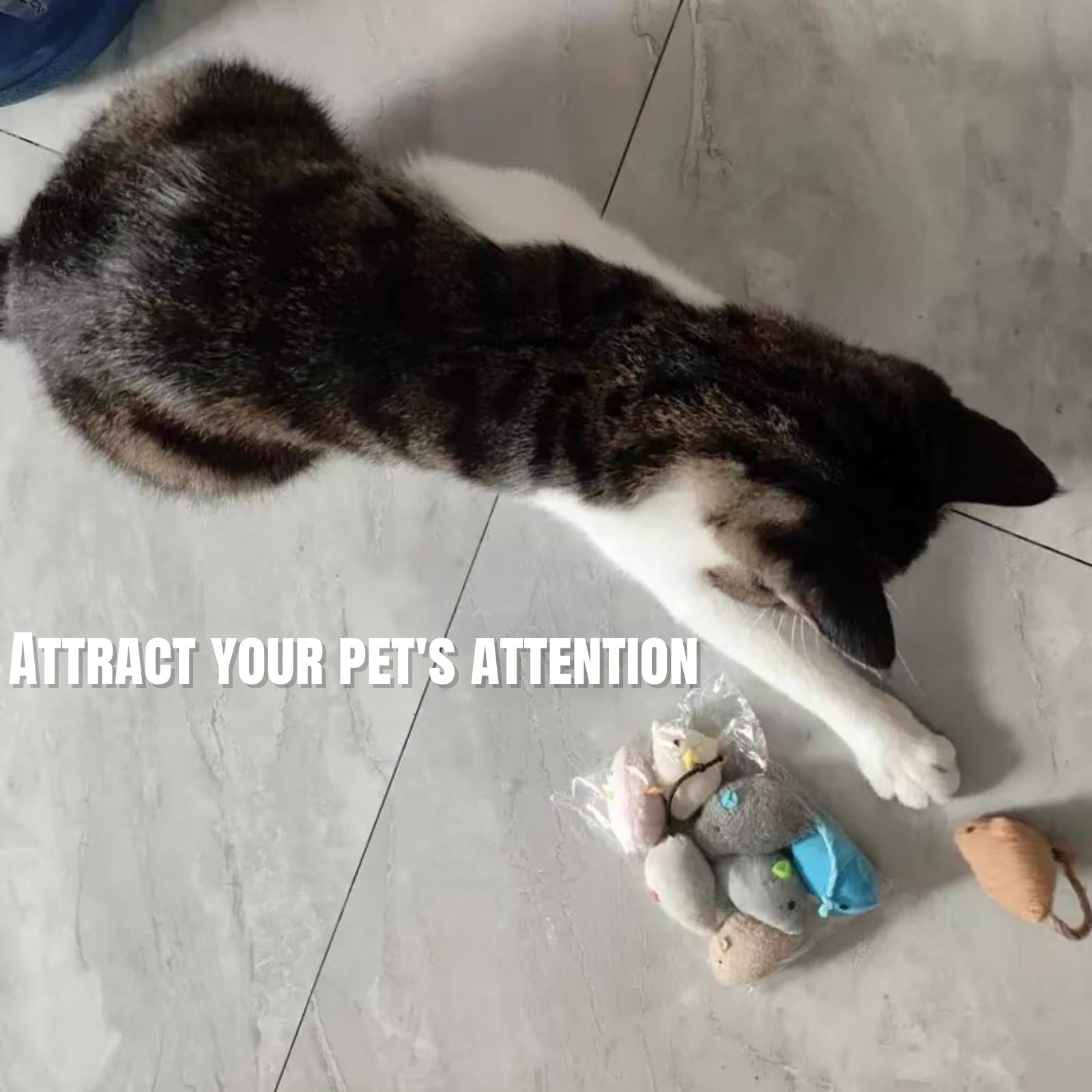 بوسيشي 8 قطع من العاب القطط على شكل فئران النعناع البري للقطط الداخلية، دمى فأر مخملية للمضغ وطحن الاسنان، مجموعة لعب القطط التفاعلية الناعمة للقطط الصغيرة والمتوسطة، العاب قطط محشوة متينة مقاومة للعض