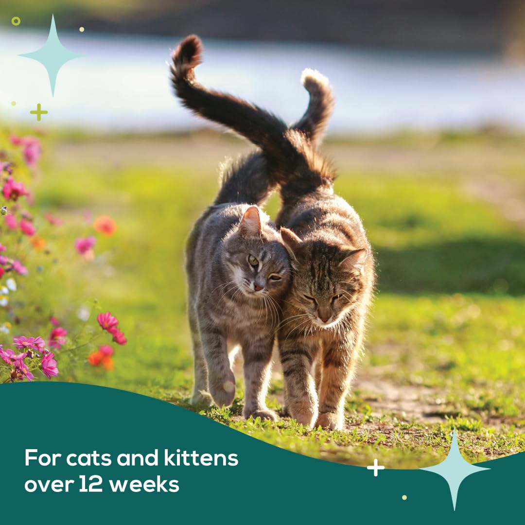 بي سيرين طوق فرمون مهدئ للقطط | يخفف التوتر لمدة تصل إلى 30 يومًا | يعزز الهدوء | يقلل من الاختباء والإفراط في المواء وعلامات البول والعدوان وإجهاد السفر | خالٍ من العقاقير ومختبر من قبل طبيب بيطري