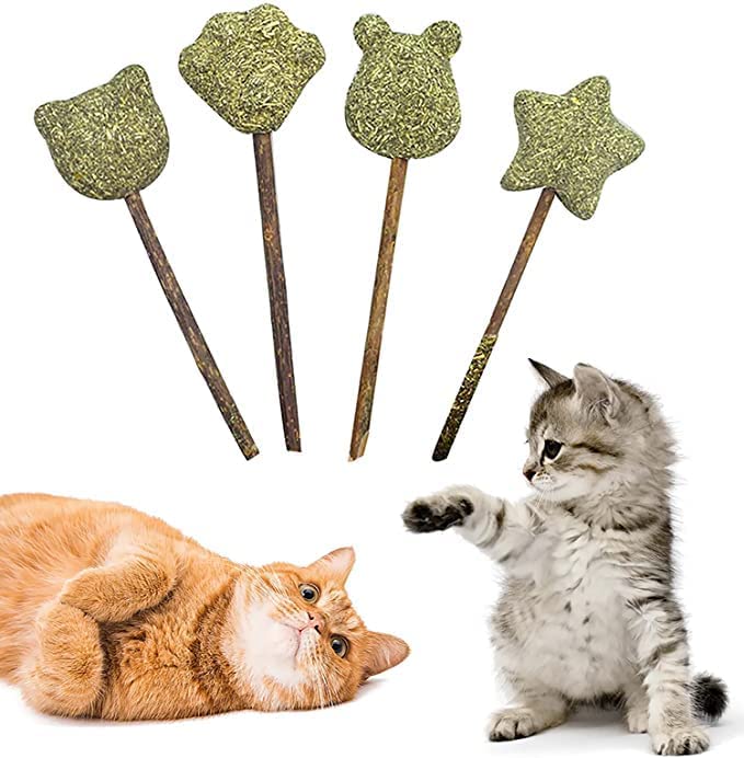بيبي 4 قطع من العاب كرات النعناع البري، عصي النعناع البري العضوية، مصاصات لعق القطط لتعزيز الهضم، حلوى للقطط والقطط، لتحسين صحة الجهاز الهضمي للقطط وزيادة الشهية