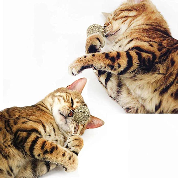 بيبي 4 قطع من العاب كرات النعناع البري، عصي النعناع البري العضوية، مصاصات لعق القطط لتعزيز الهضم، حلوى للقطط والقطط، لتحسين صحة الجهاز الهضمي للقطط وزيادة الشهية