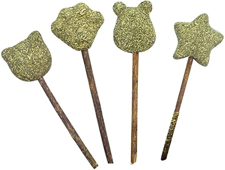 بيبي 4 قطع من العاب كرات النعناع البري، عصي النعناع البري العضوية، مصاصات لعق القطط لتعزيز الهضم، حلوى للقطط والقطط، لتحسين صحة الجهاز الهضمي للقطط وزيادة الشهية