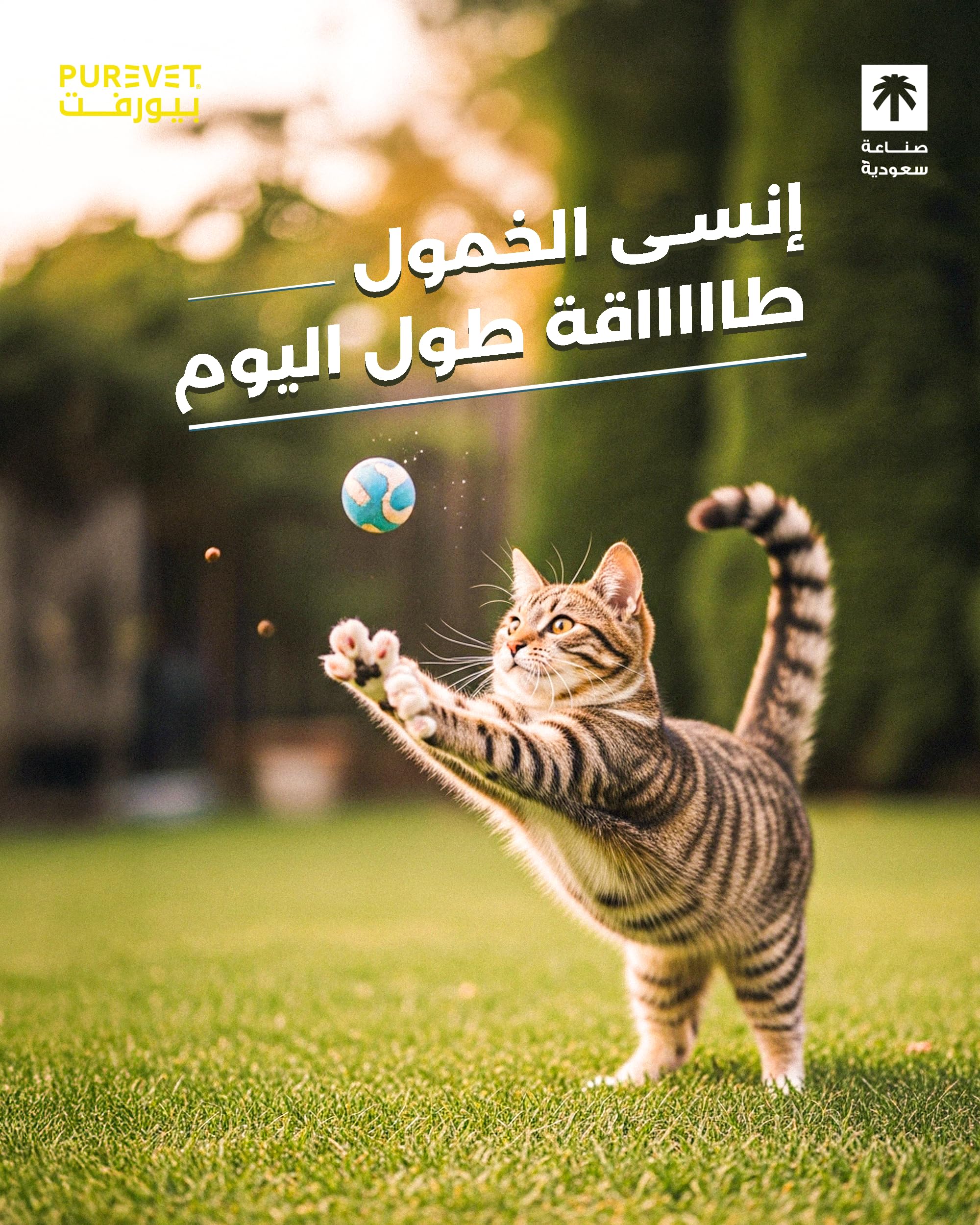 بيورفت طعام جاف للقطط الصغيرة ( دجاج وبطاطس ) 15 كيلو