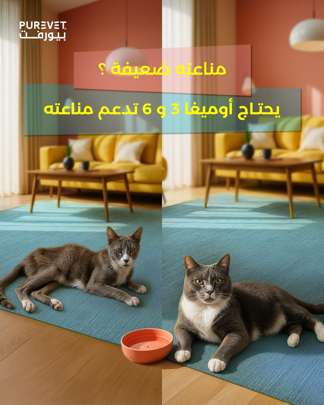 بيورفت طعام جاف للقطط الصغيرة ( دجاج وبطاطس ) 15 كيلو