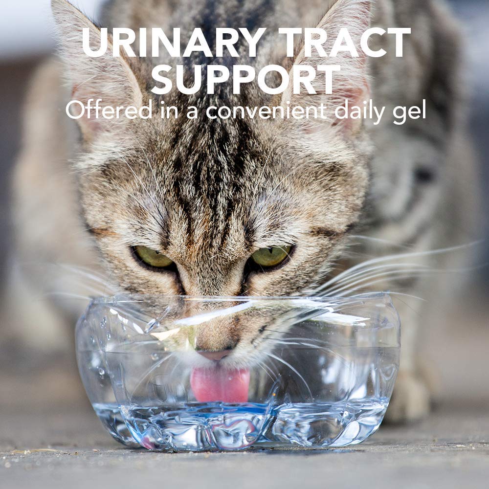 جل دعم المسالك البولية للقطط من فيتس بيست، 100 غرام