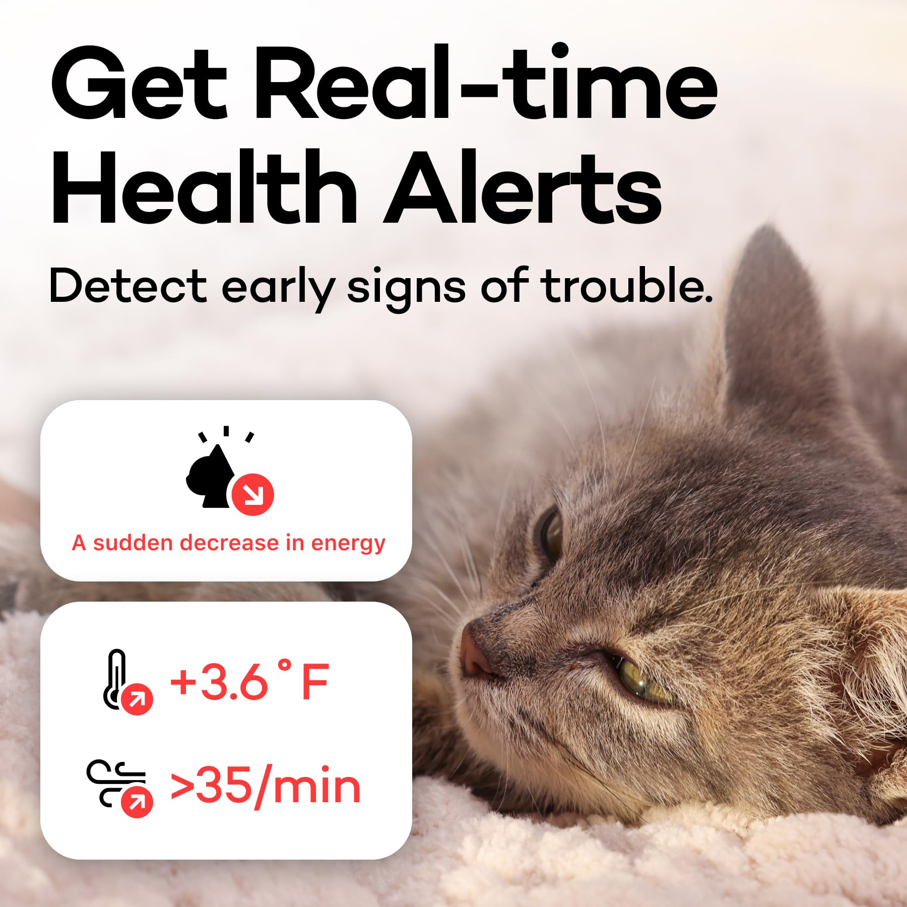 جهاز تتبع صحة القطط من كاتلوغ - طوق ذكي للقطط مع مشبك امان قابل للفصل للقطط الداخلية، تنبيهات صحية، مراقبة فورية (فوريست، M)