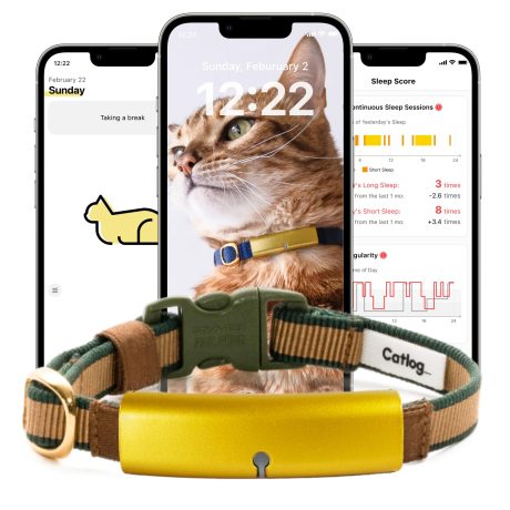جهاز تتبع صحة القطط من كاتلوغ - طوق ذكي للقطط مع مشبك امان قابل للفصل للقطط الداخلية، تنبيهات صحية، مراقبة فورية (فوريست، M)